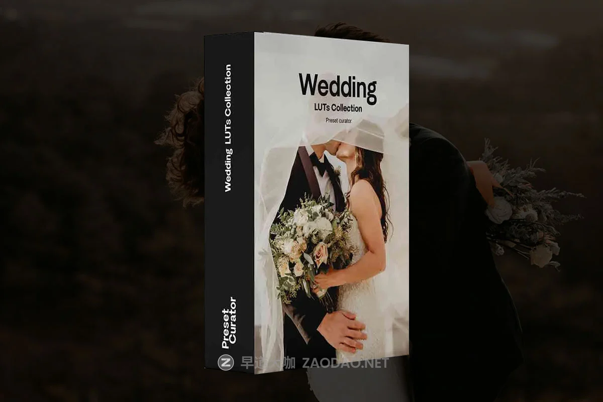 30组风格化高级电影胶片模拟永恒美学婚礼视频调色LUT预设包 Preset Curator – Wedding Cinematic LUT Collection插图 30组风格化高级电影胶片模拟永恒美学婚礼视频调色LUT预设包 Preset Curator – Wedding Cinematic LUT Collection插图