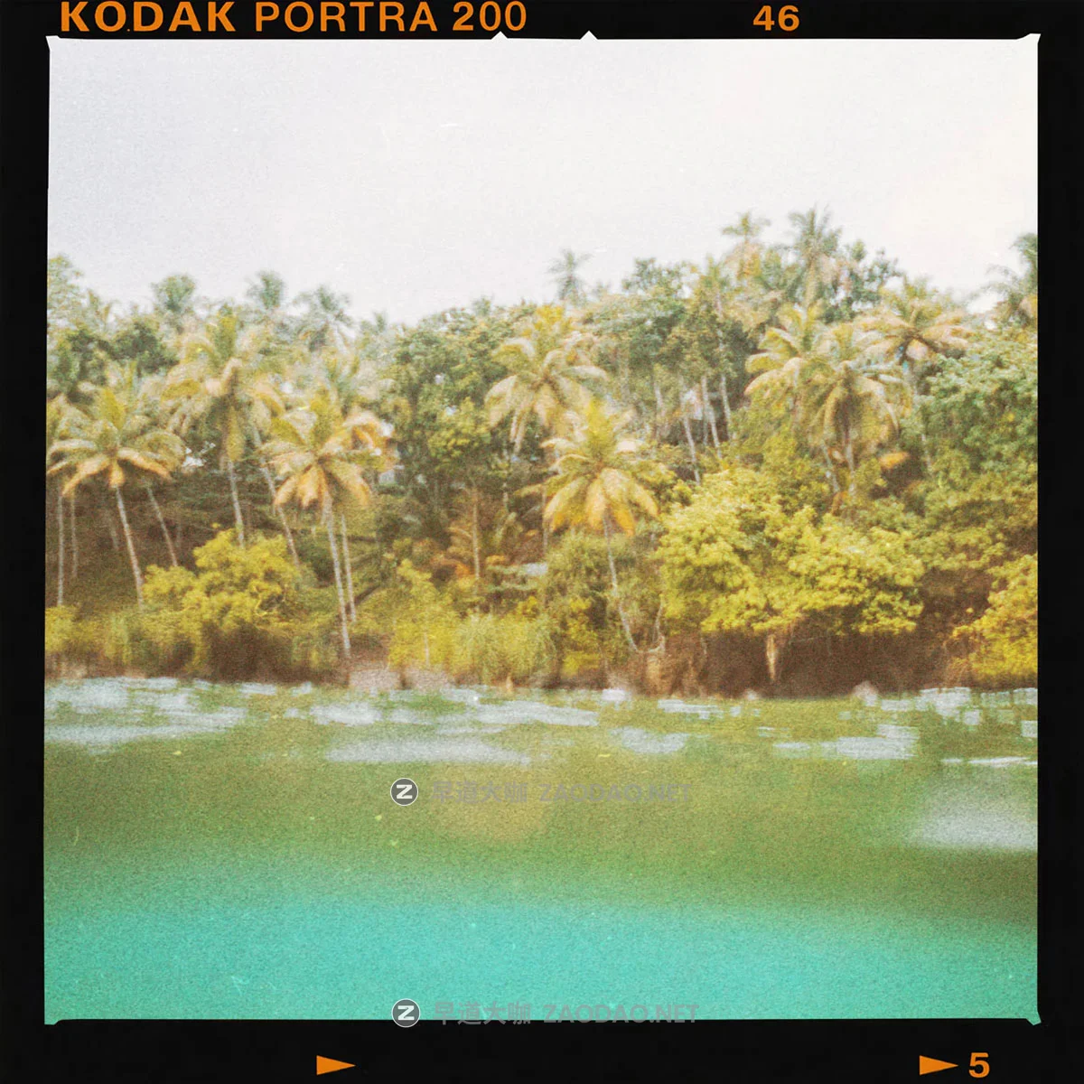 55款复古120mm富士柯达伊尔福胶片边框png免抠图照片视频编辑素材 Sickboat – 120mm Photo Film Frames PNG Medium Format Film Borders PNG (8K)插图13 55款复古120mm富士柯达伊尔福胶片边框png免抠图照片视频编辑素材 Sickboat – 120mm Photo Film Frames PNG Medium Format Film Borders PNG (8K)插图13