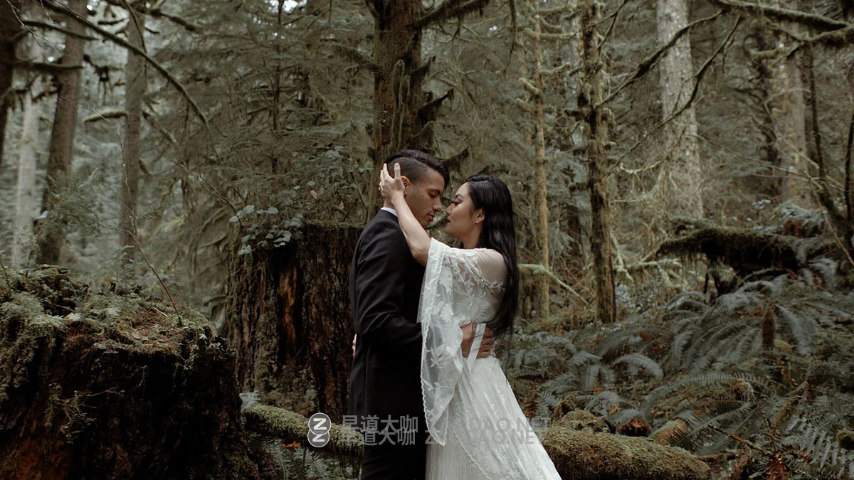 风格化狂野野性冷静电影般绿色调婚礼摄影视频调色LUT预设包 Gamut – Foris Commercial LUTs插图11 风格化狂野野性冷静电影般绿色调婚礼摄影视频调色LUT预设包 Gamut – Foris Commercial LUTs插图11