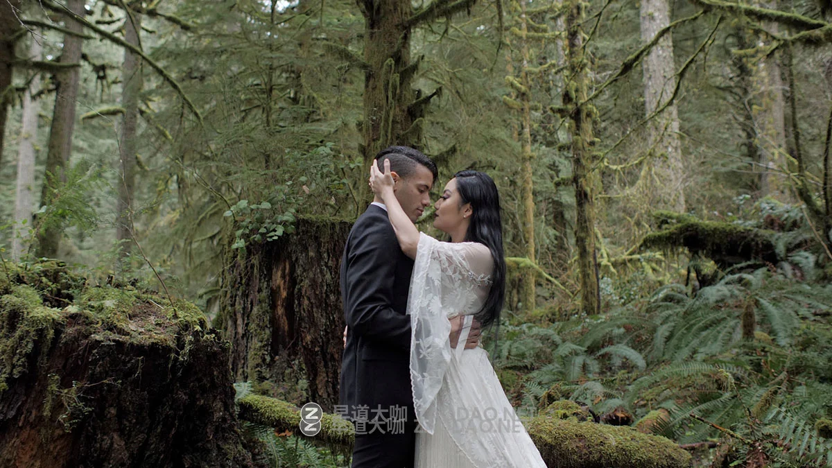 风格化狂野野性冷静电影般绿色调婚礼摄影视频调色LUT预设包 Gamut – Foris Commercial LUTs插图12 风格化狂野野性冷静电影般绿色调婚礼摄影视频调色LUT预设包 Gamut – Foris Commercial LUTs插图12