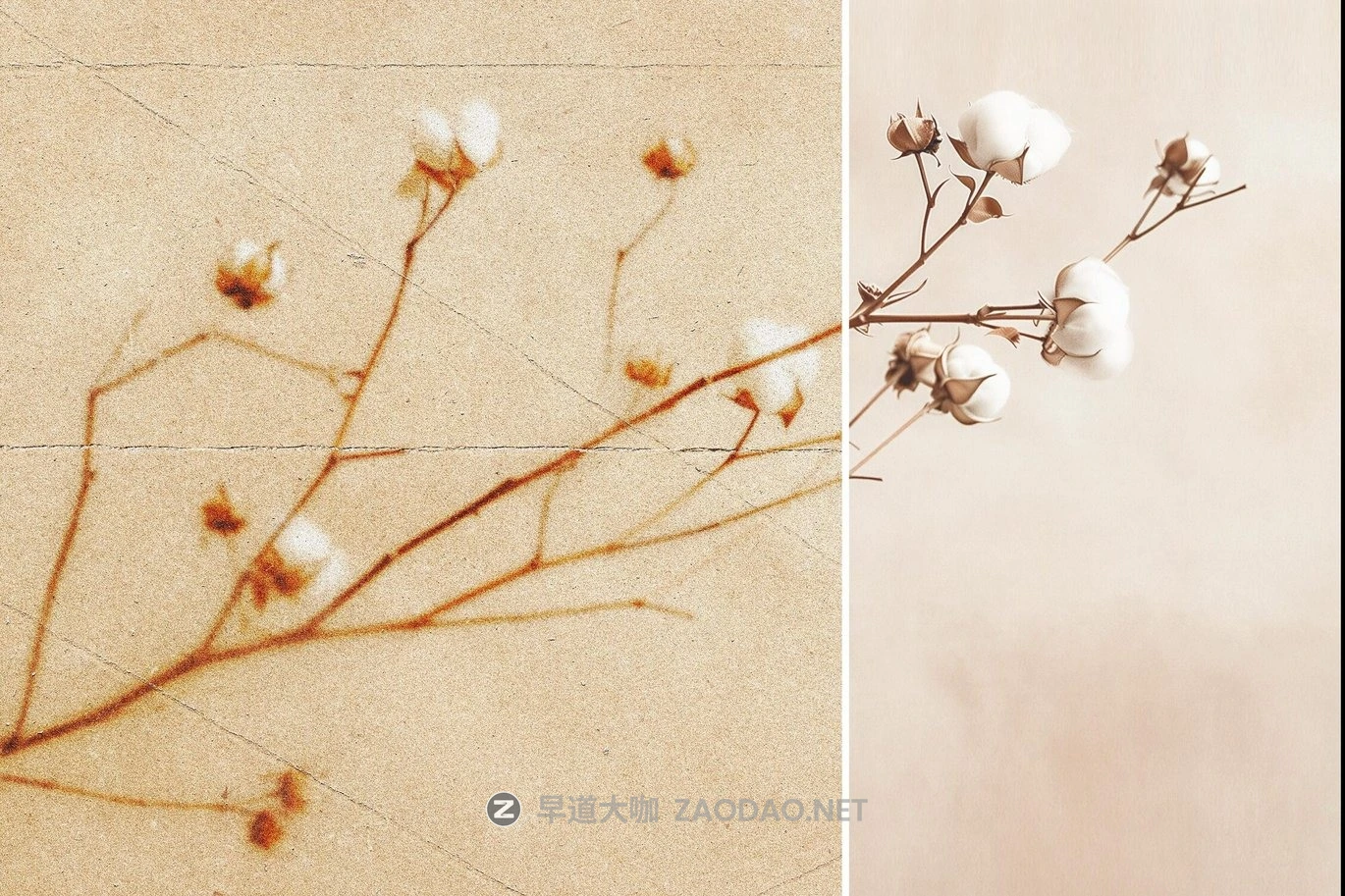 复古折痕模糊颗粒照片效果ps特效滤镜样机 Blurred Folded Paper Photo Effect插图3 复古折痕模糊颗粒照片效果ps特效滤镜样机 Blurred Folded Paper Photo Effect插图3