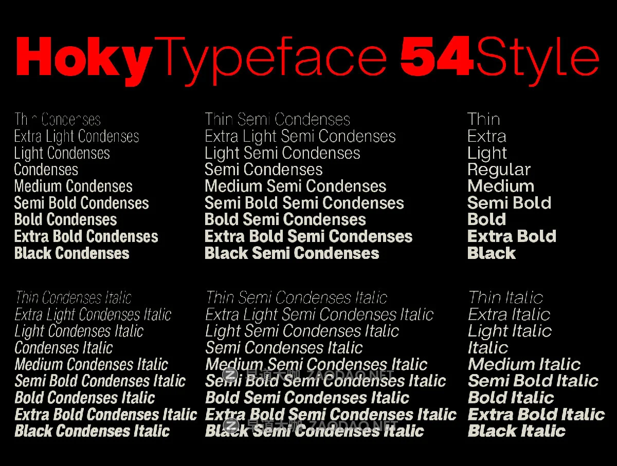 现代怪诞浓缩几何风品牌海报包装标题字体logo设计无衬线英文字体安装包 ZT Hoky插图2 现代怪诞浓缩几何风品牌海报包装标题字体logo设计无衬线英文字体安装包 ZT Hoky插图2