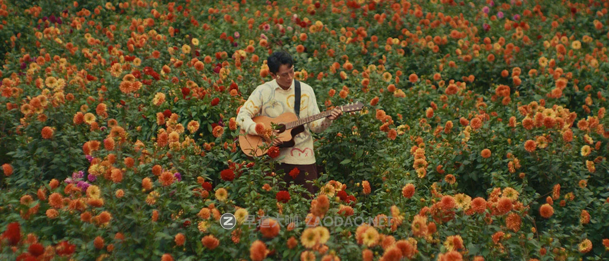 30组电影风格商业造型宣传片纪录片摄影视频调色LUT预设包 Gamut – The Creator LUT Collection插图4 30组电影风格商业造型宣传片纪录片摄影视频调色LUT预设包 Gamut – The Creator LUT Collection插图4