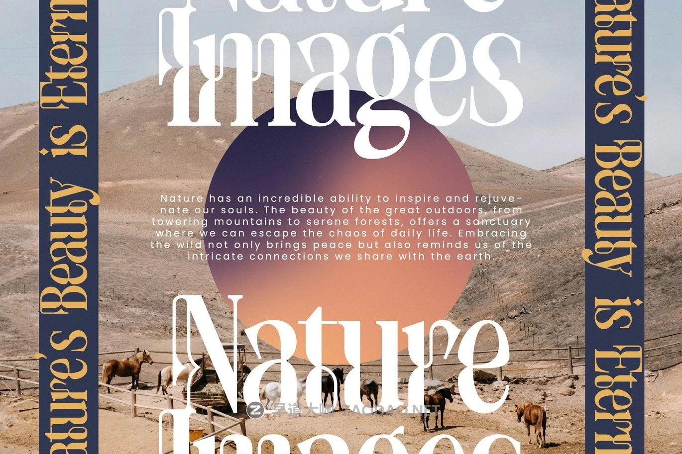 现代时尚品牌杂志包装标题设计衬线英文字体安装包 Twolight – New Modern Serif Typeface插图10 现代时尚品牌杂志包装标题设计衬线英文字体安装包 Twolight – New Modern Serif Typeface插图10