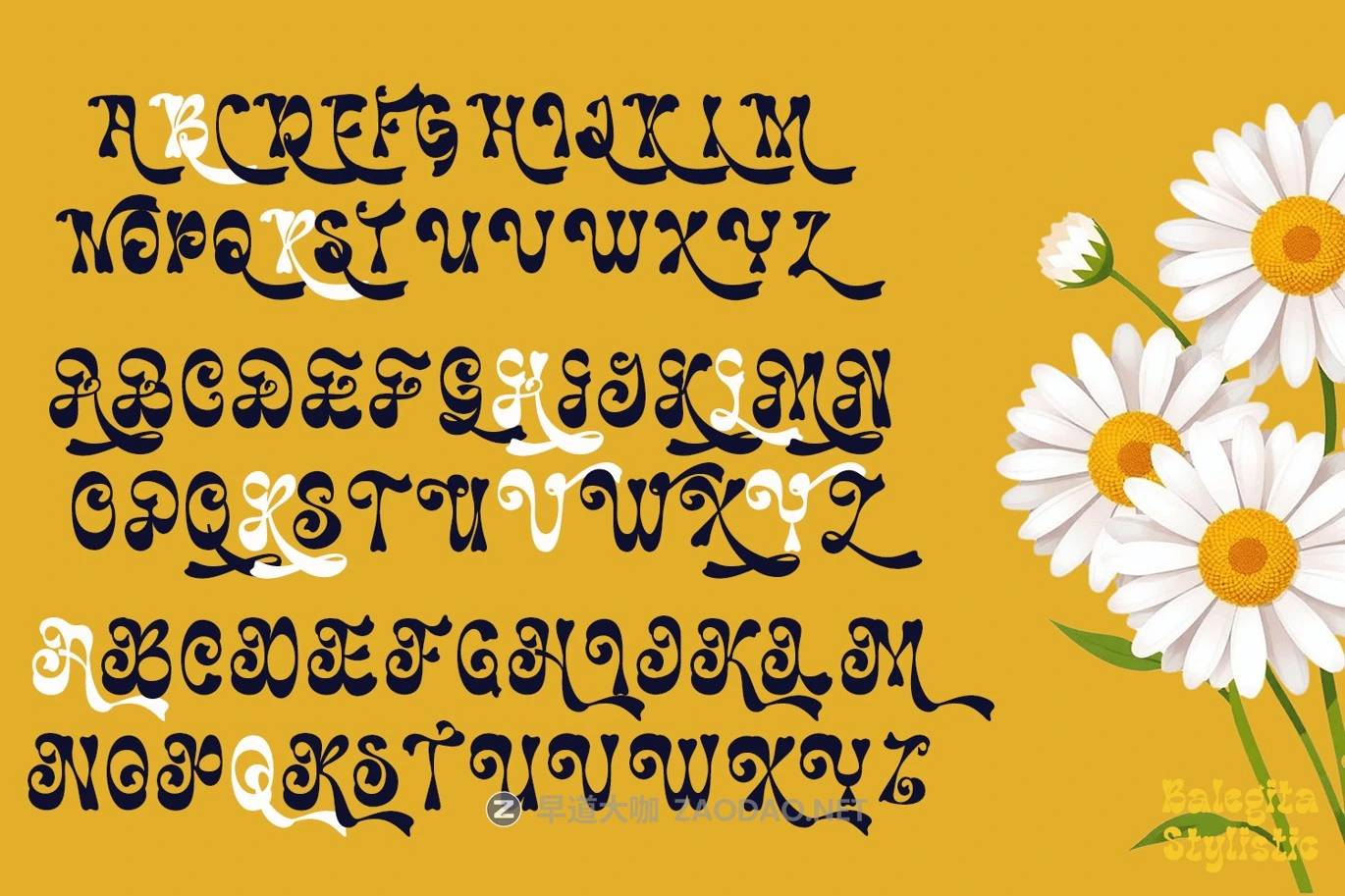 优雅复古杂志海报徽标设计装饰英文字体安装包 Balegita Groovy Typeface插图5 优雅复古杂志海报徽标设计装饰英文字体安装包 Balegita Groovy Typeface插图5