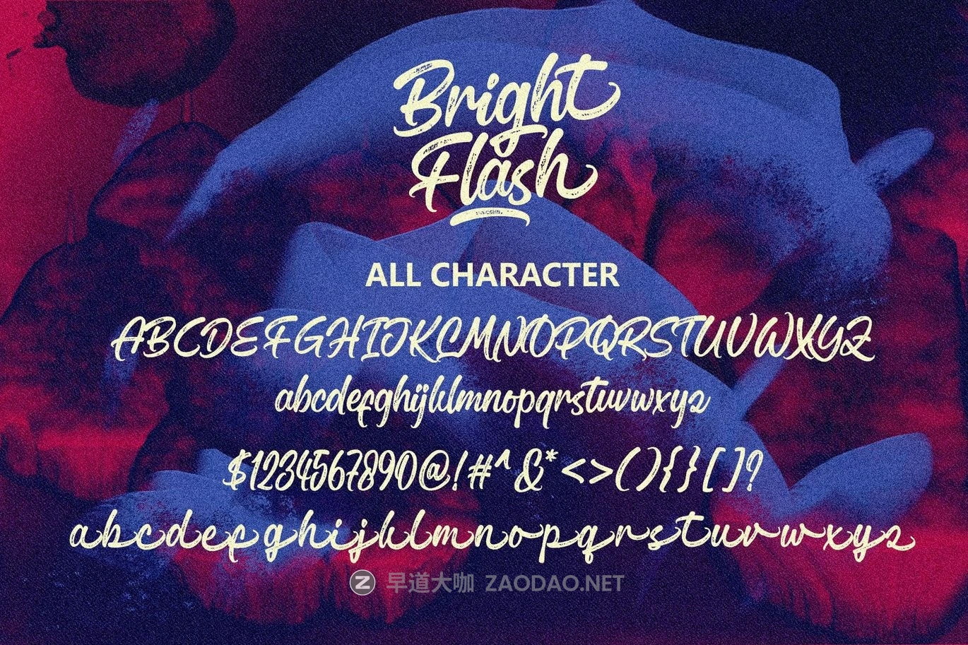 时尚优雅杂志包装邀请函设计手写英文字体安装包 Bright Flash – Script Font插图5 时尚优雅杂志包装邀请函设计手写英文字体安装包 Bright Flash – Script Font插图5