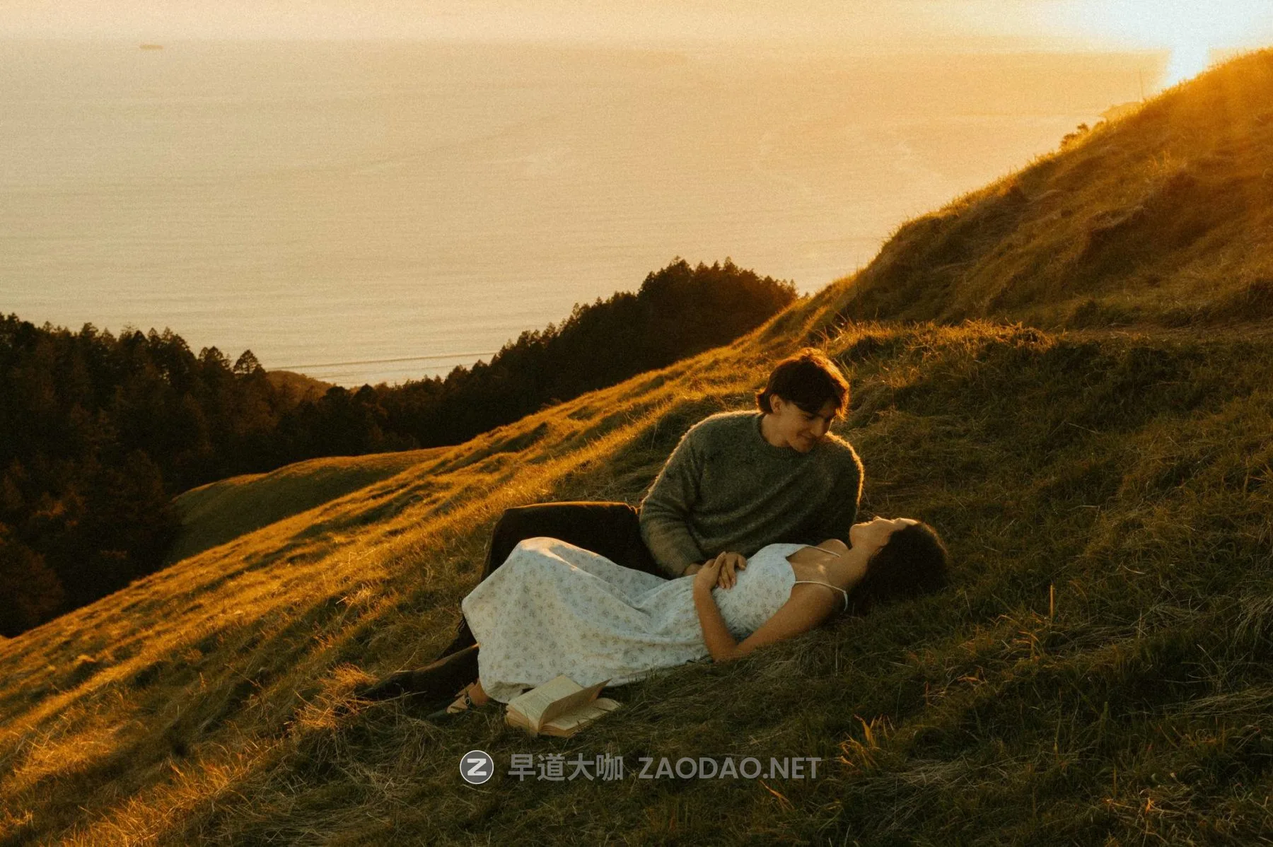 20260101107nu 20260101107nu