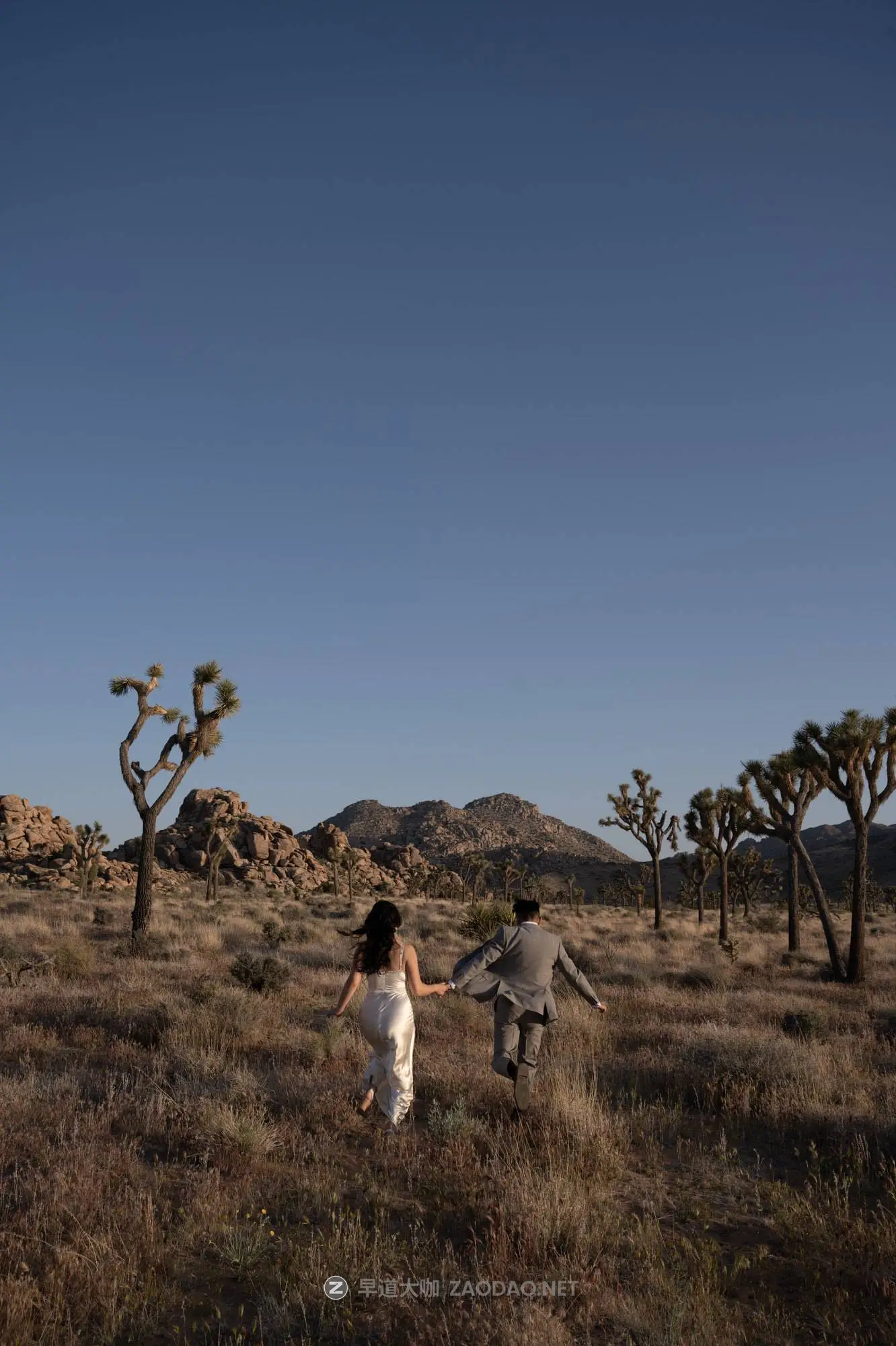 20260101290l3 20260101290l3