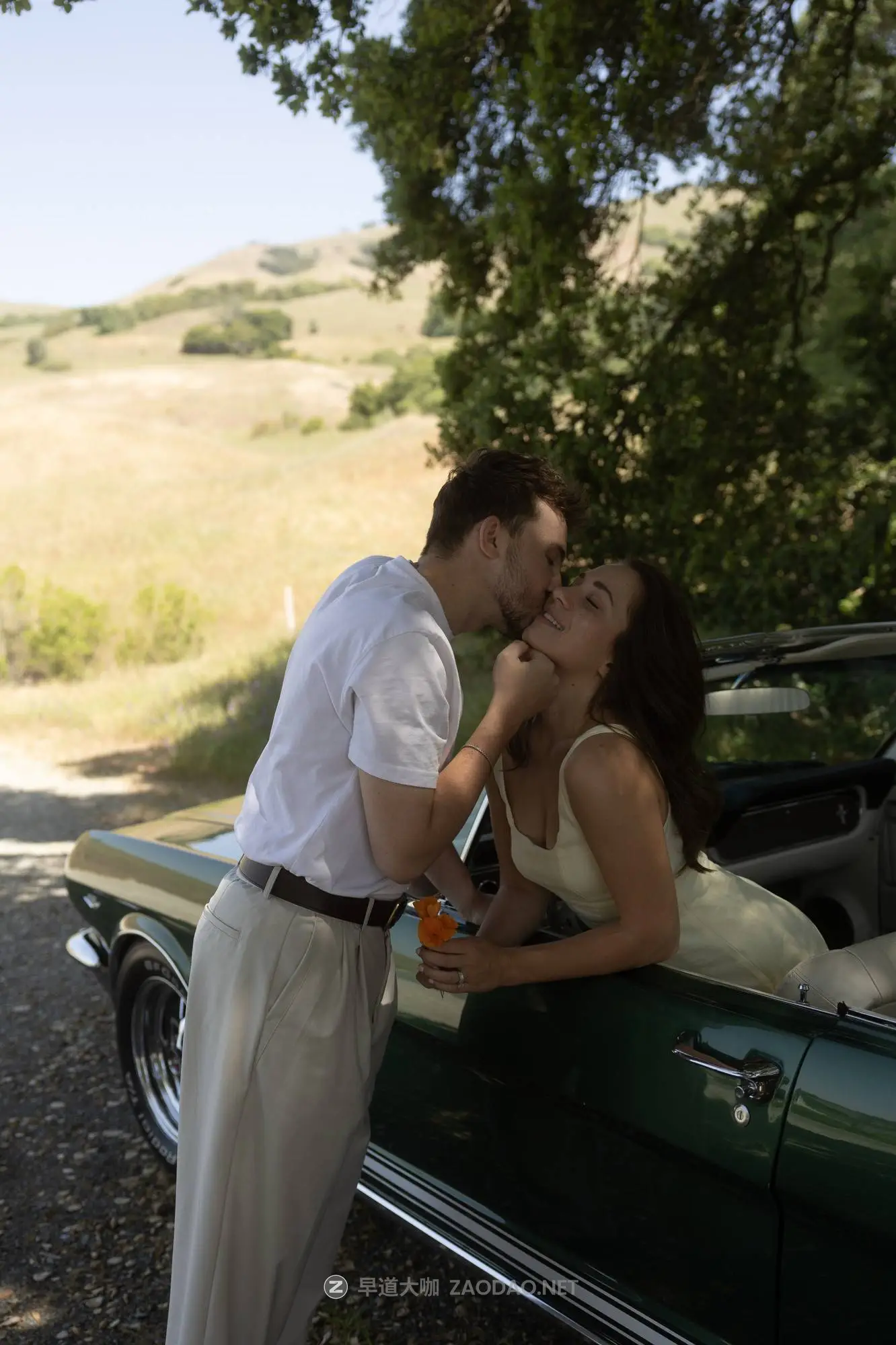 20260101b765p 20260101b765p