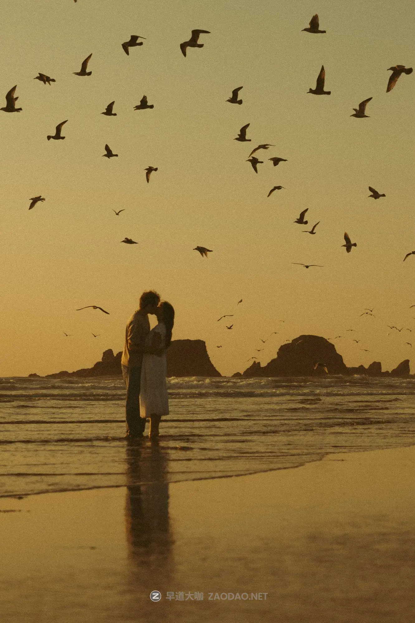 20260101cd50f 20260101cd50f