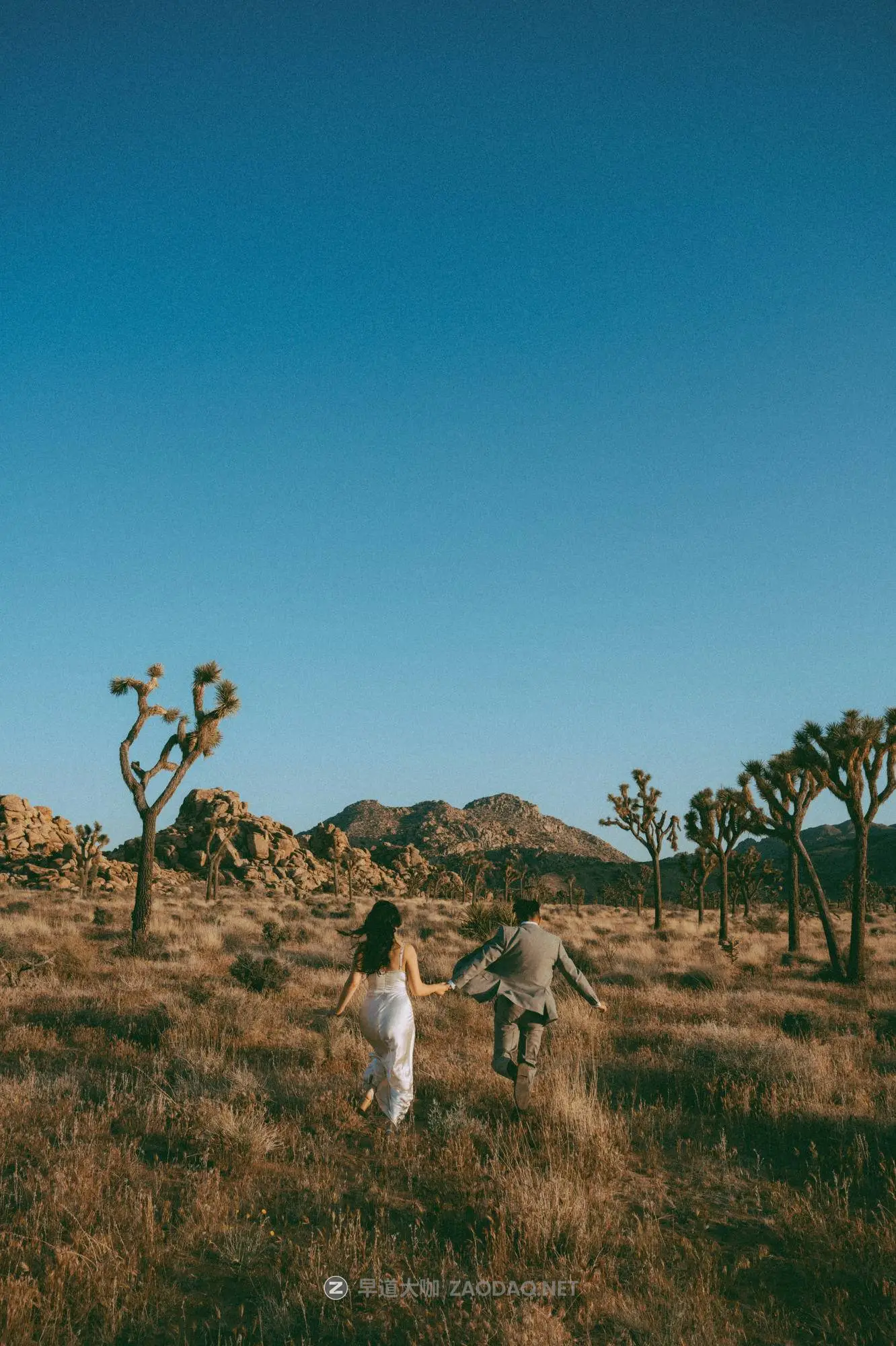 20260101d8id6 20260101d8id6