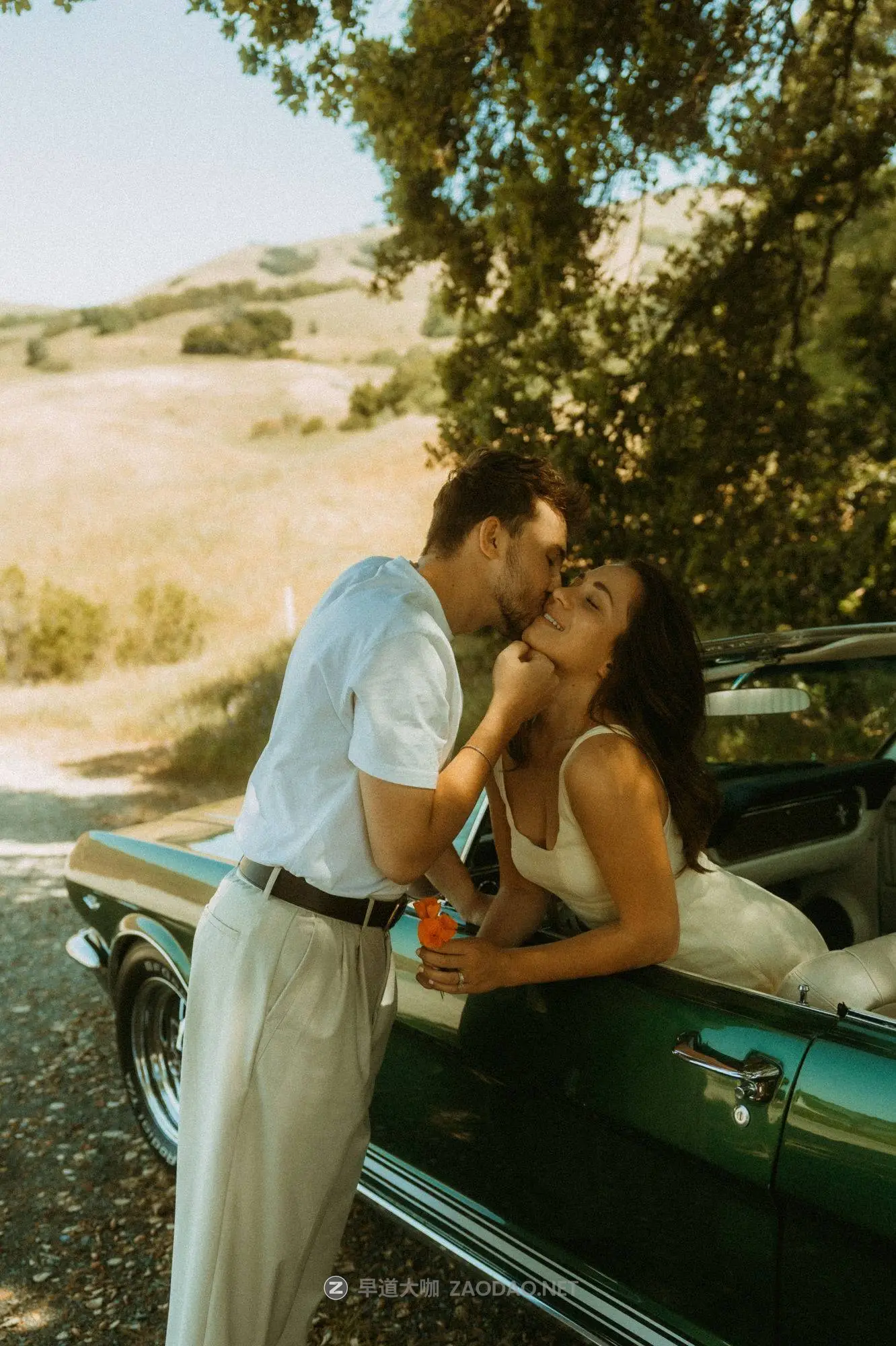 20260101ozhye 20260101ozhye