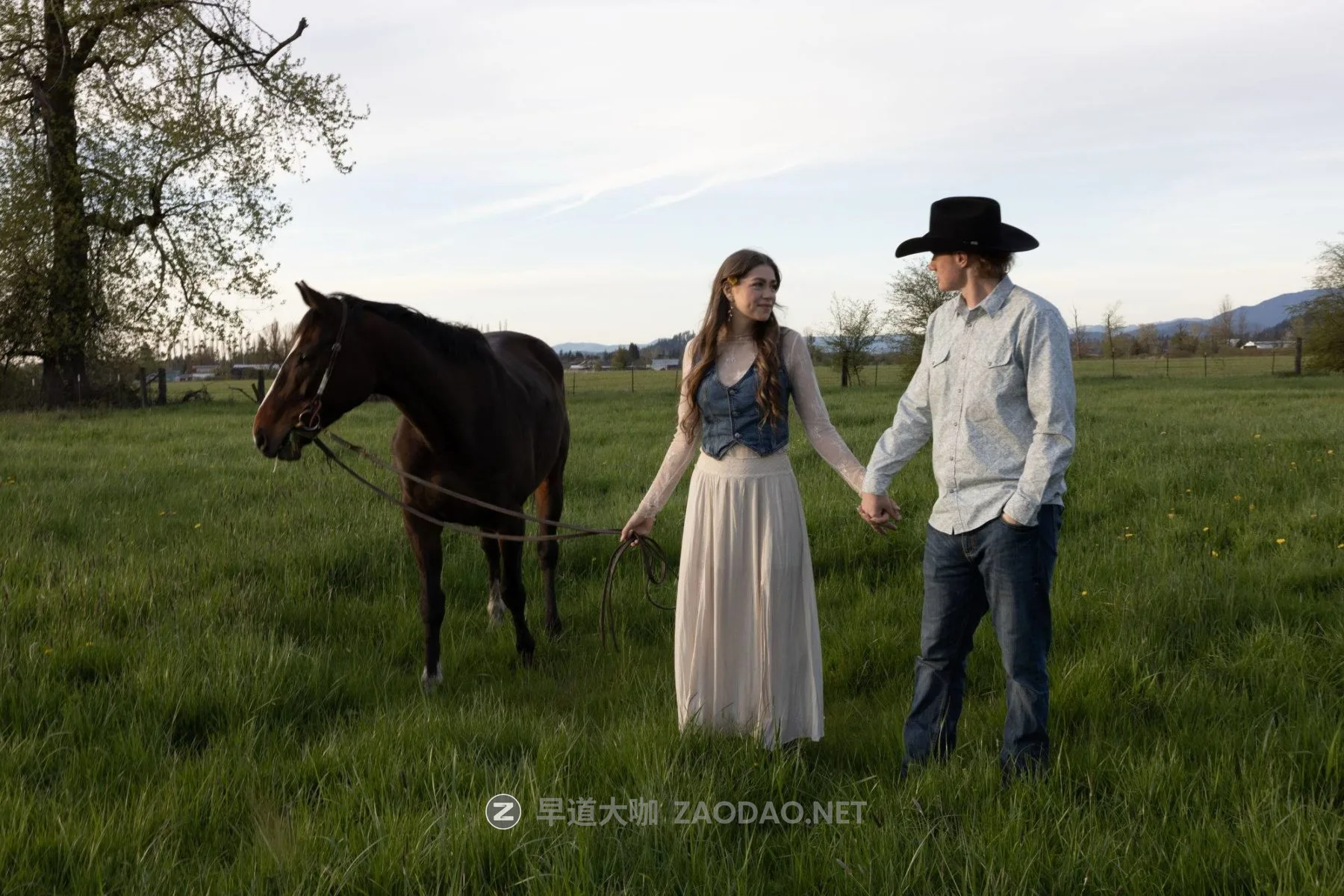 20260101qn0q4 20260101qn0q4