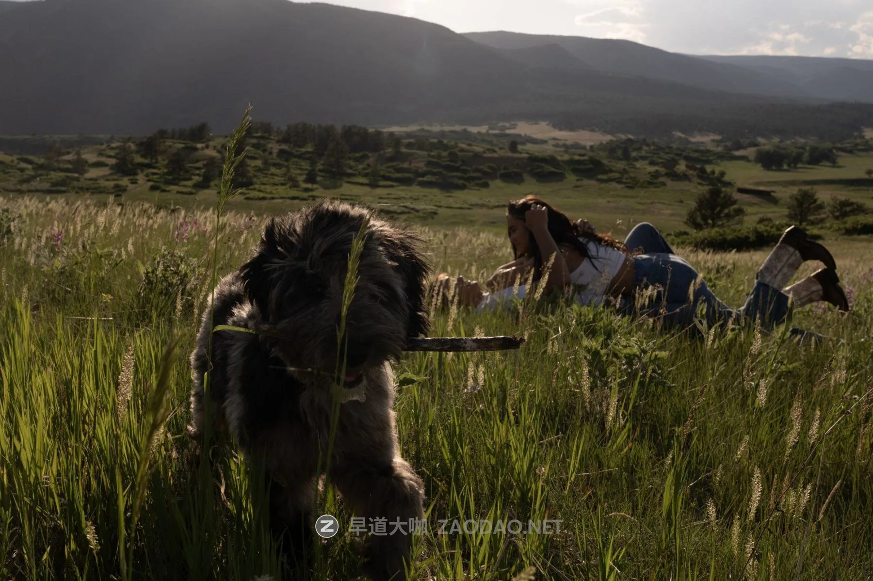 20260101qwl3f 20260101qwl3f