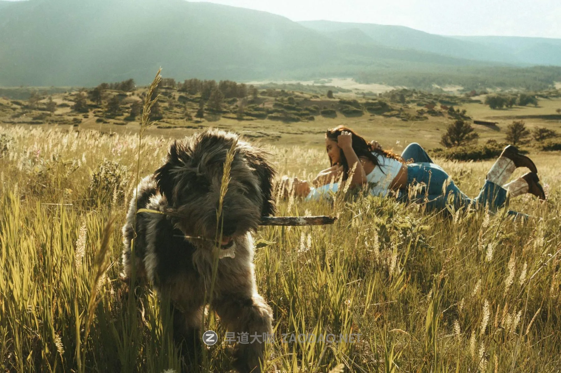 20260101rdyg7 20260101rdyg7