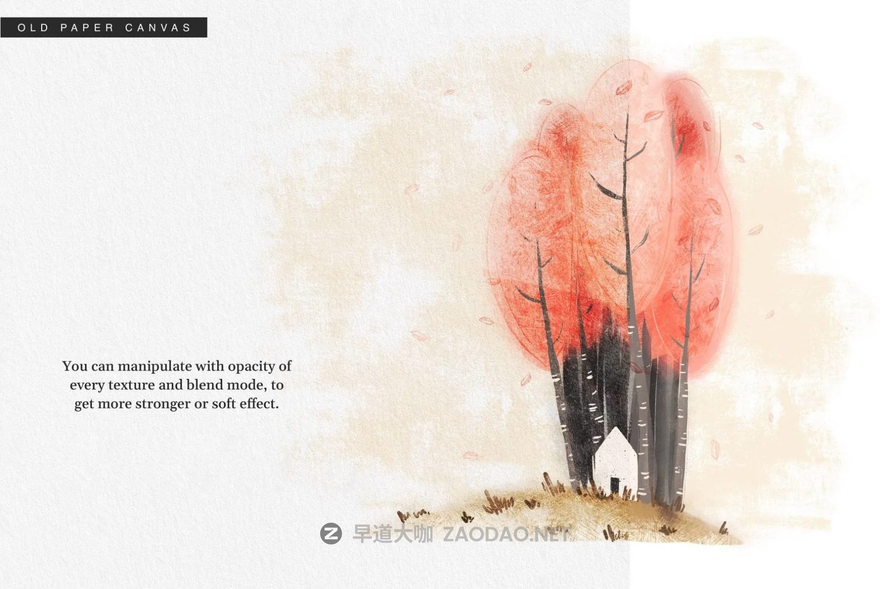 20260104c9ygz 20260104c9ygz