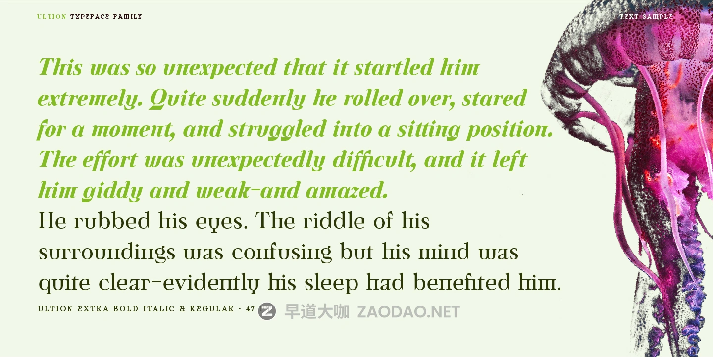 20260111axboo 20260111axboo