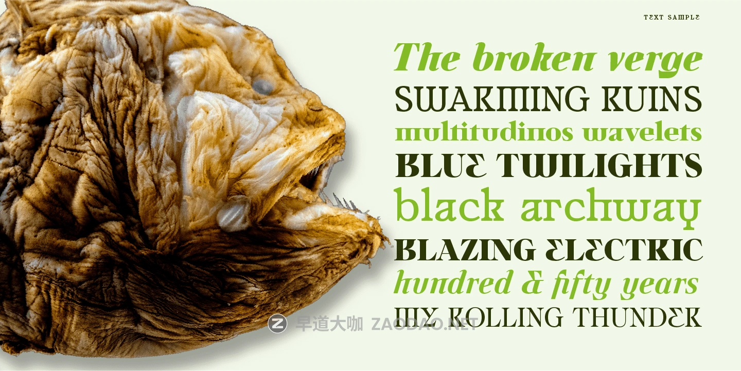 20260111i8f1q 20260111i8f1q