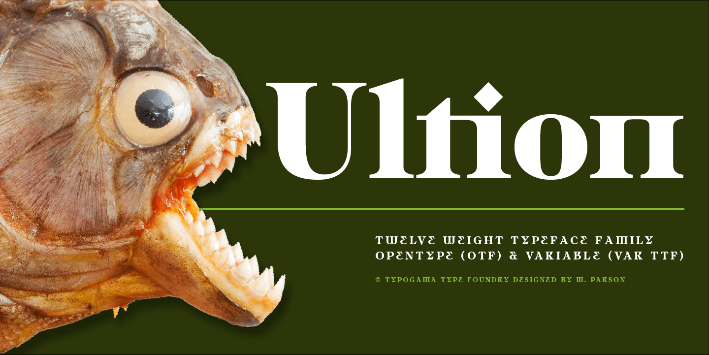 Ultion Font Family 20款古典报纸品牌包装标题logo设计衬线英文字体安装包特色图 Ultion Font Family 20款古典报纸品牌包装标题logo设计衬线英文字体安装包