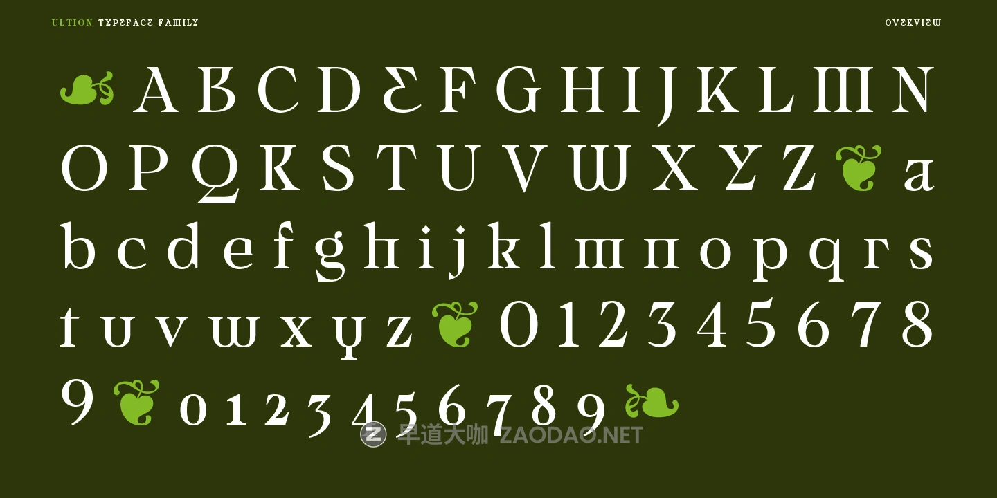 20260111q6w6z 20260111q6w6z