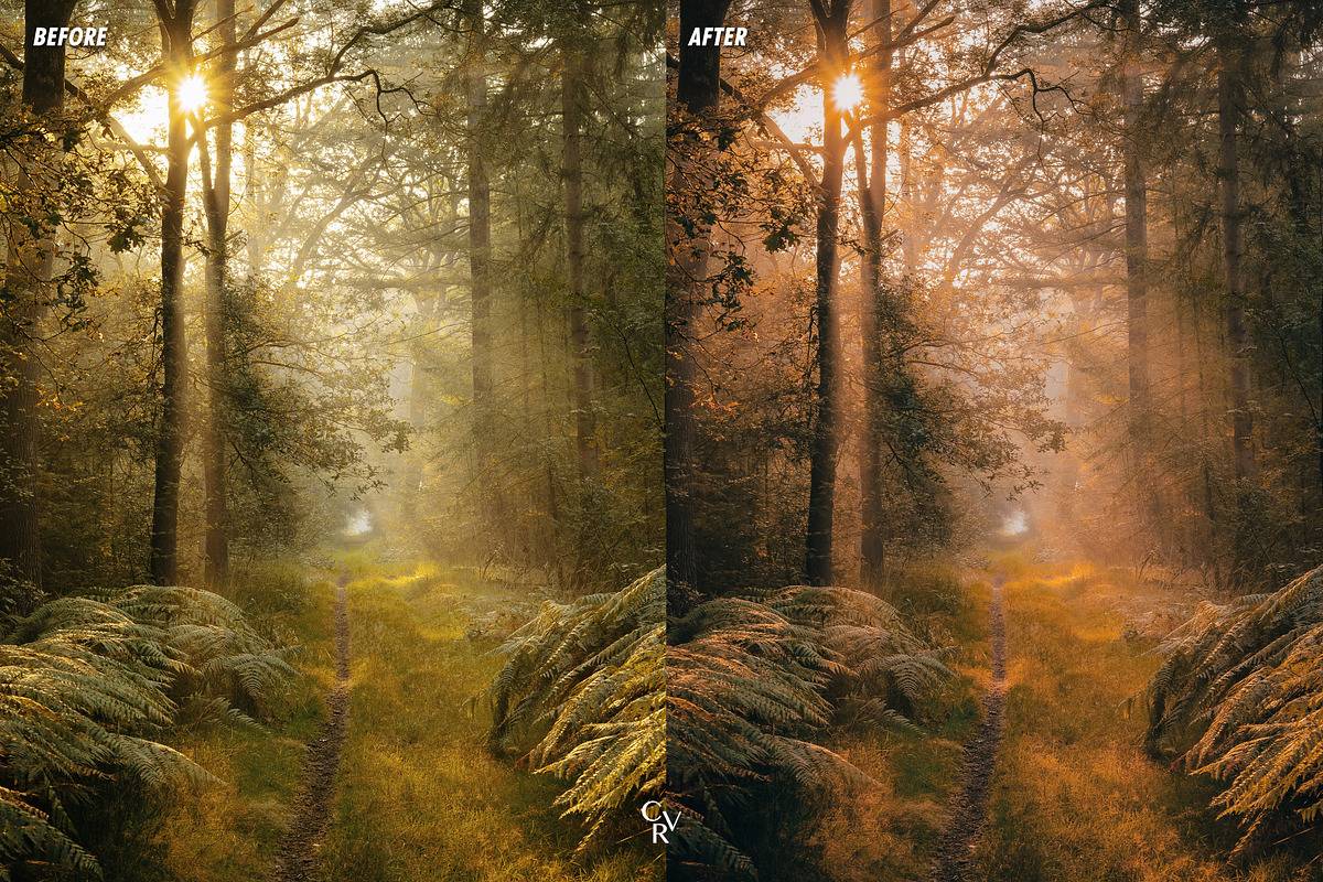 20260117qitrm 20260117qitrm