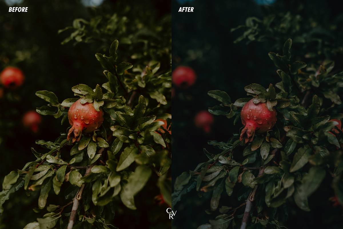 20260117s3em4 20260117s3em4