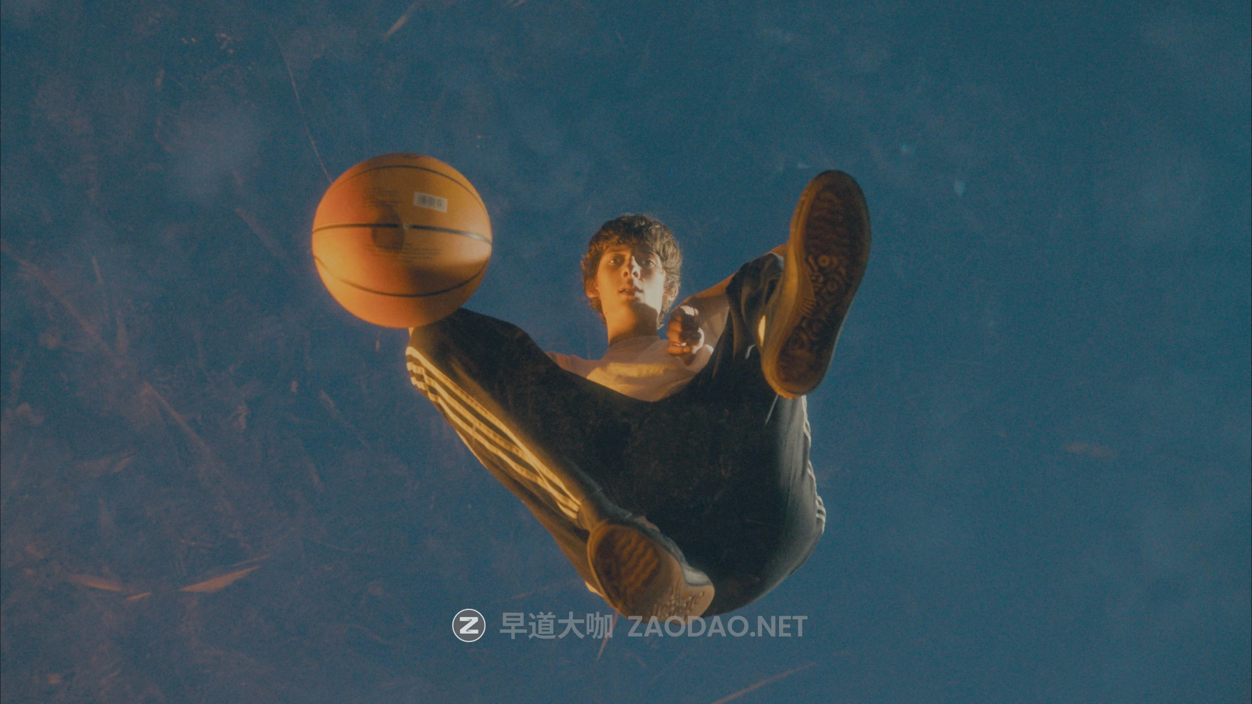 202601202fkoq 202601202fkoq