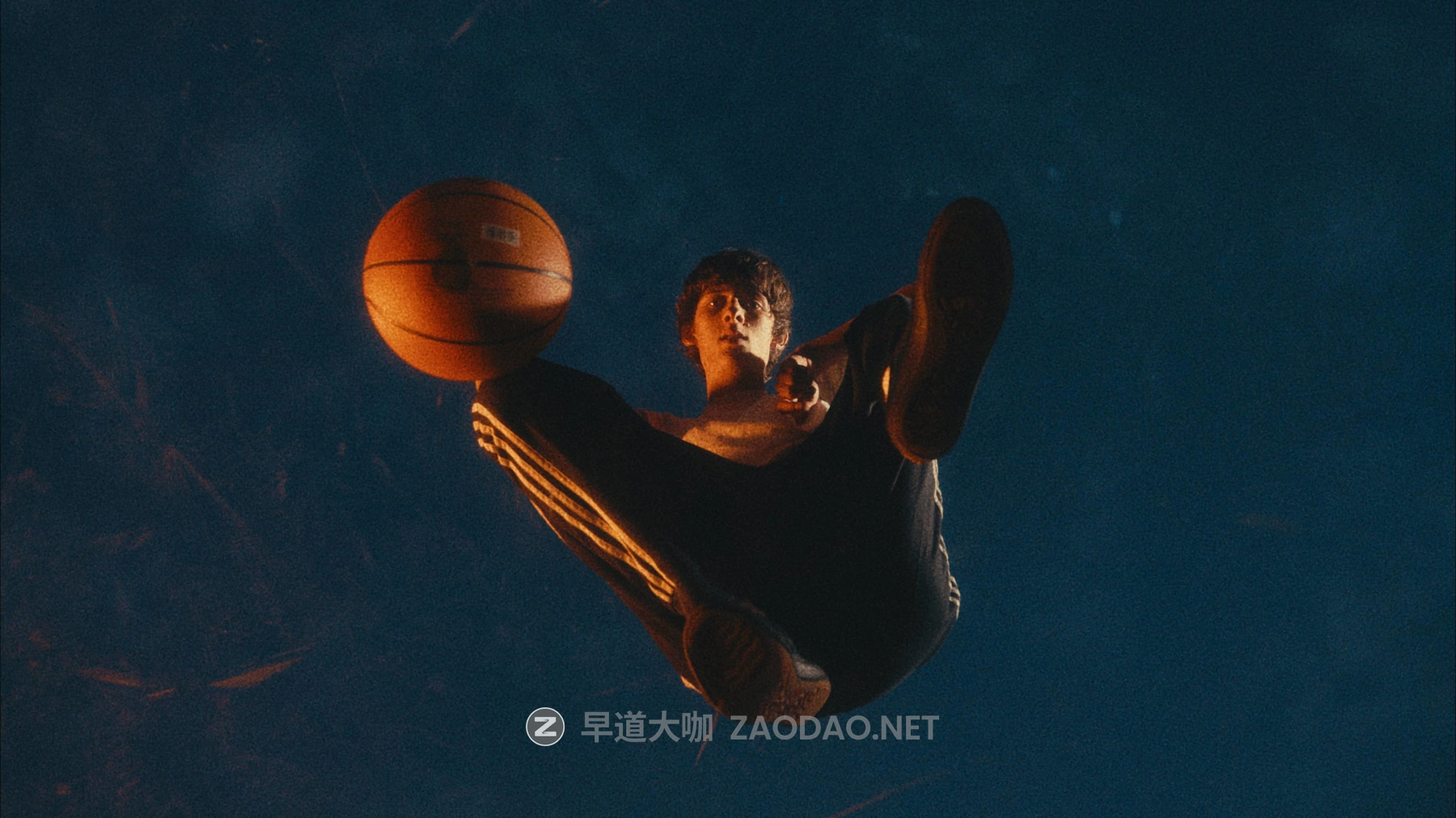 202601205y66l 202601205y66l