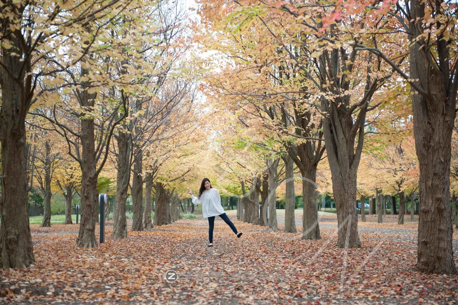 202601233f3uf 202601233f3uf