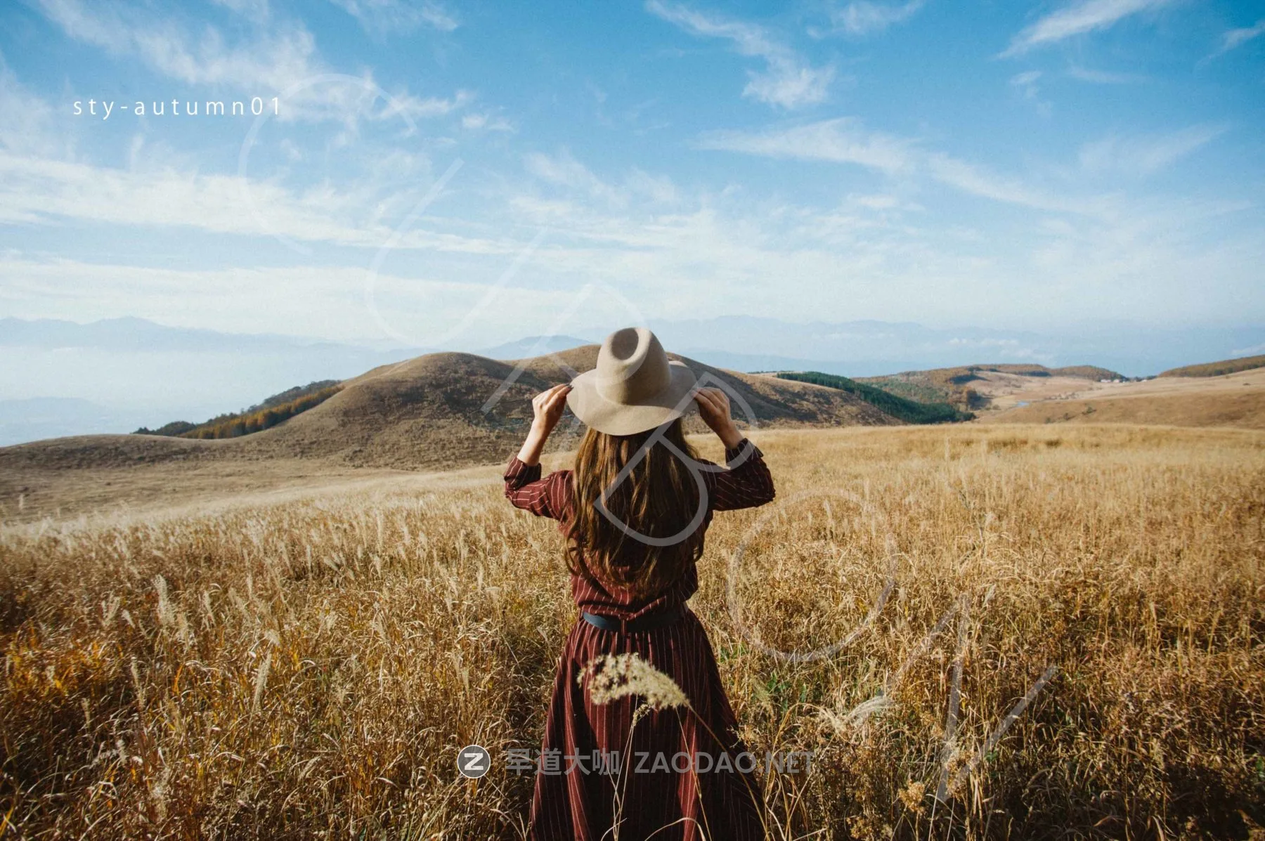 202601236bst9 202601236bst9