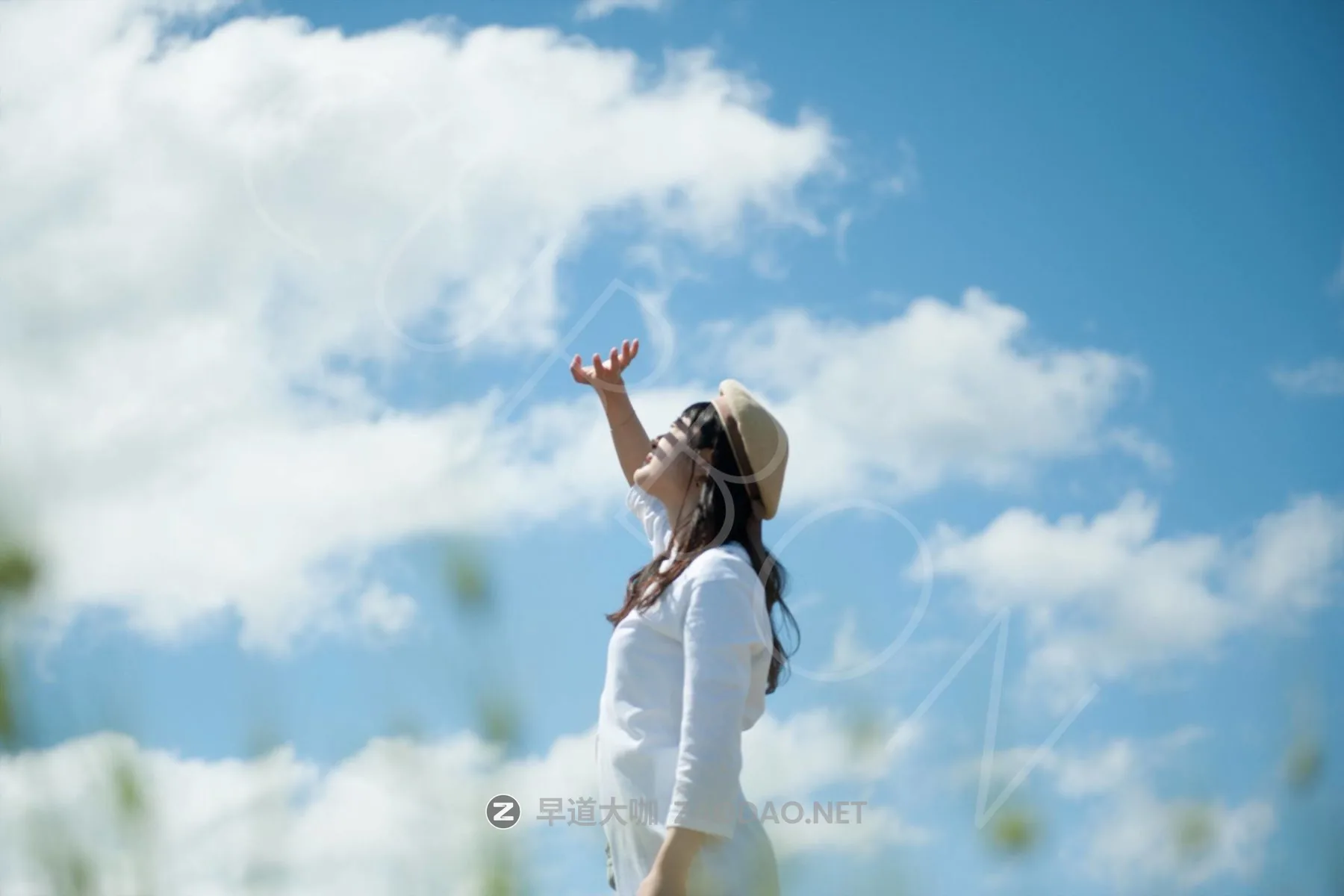 20260123d2faa 20260123d2faa