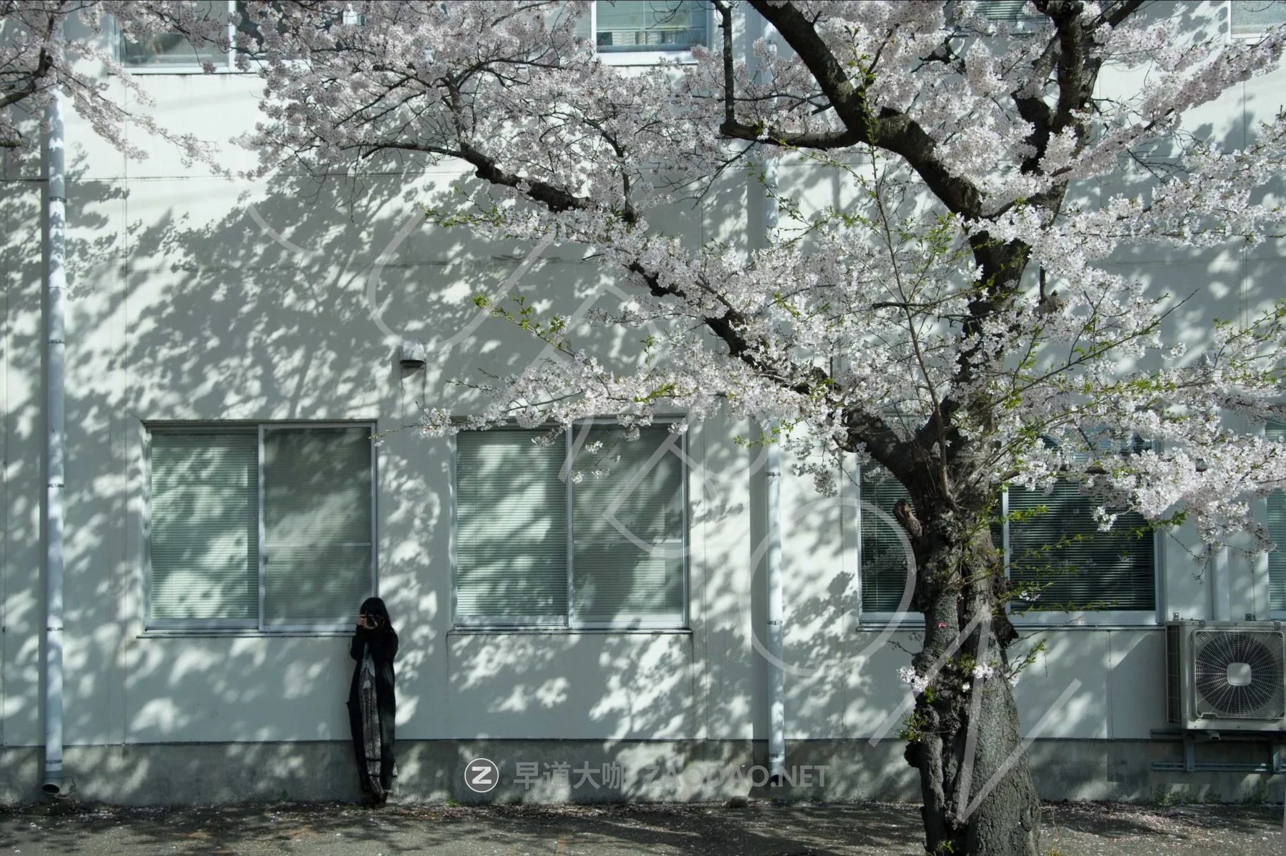 20260123hfbjm 20260123hfbjm