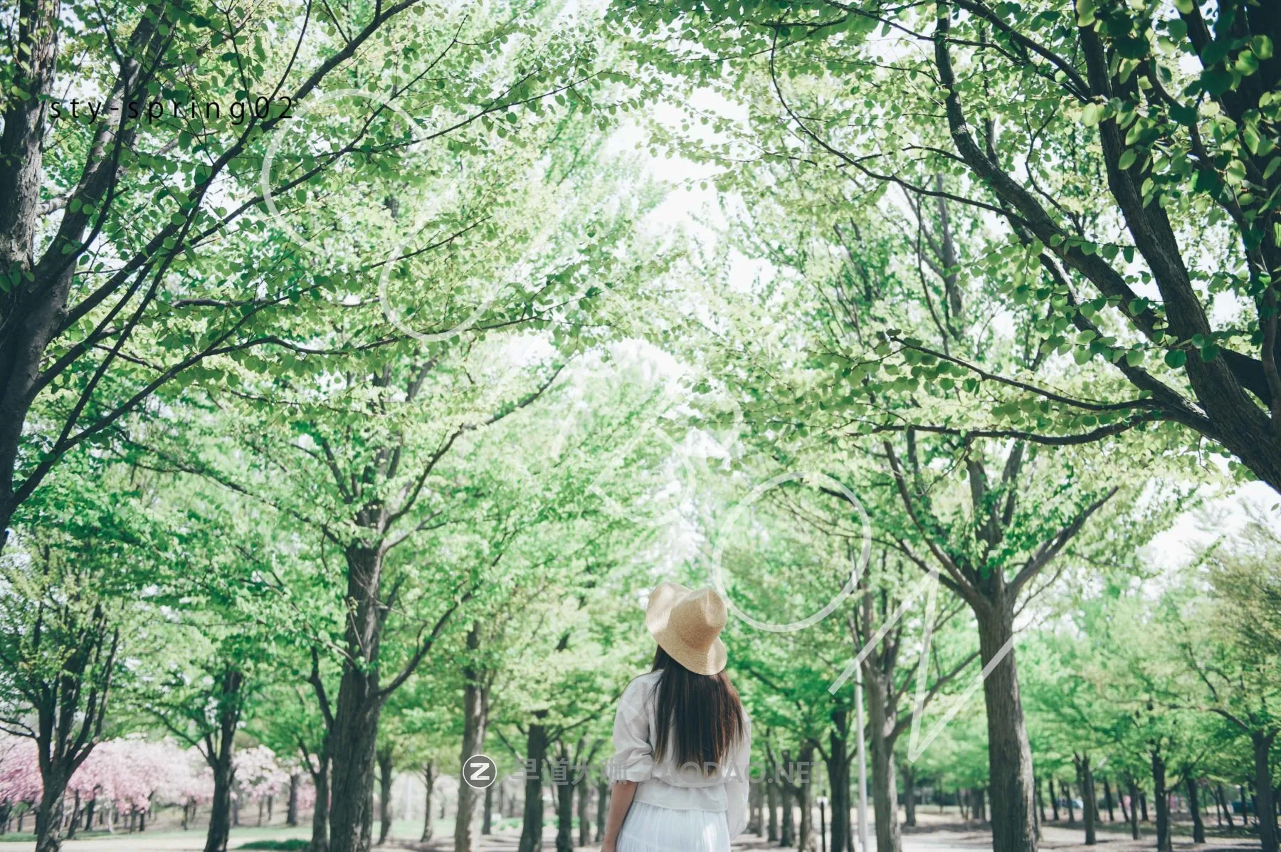 20260123jnvmn 20260123jnvmn