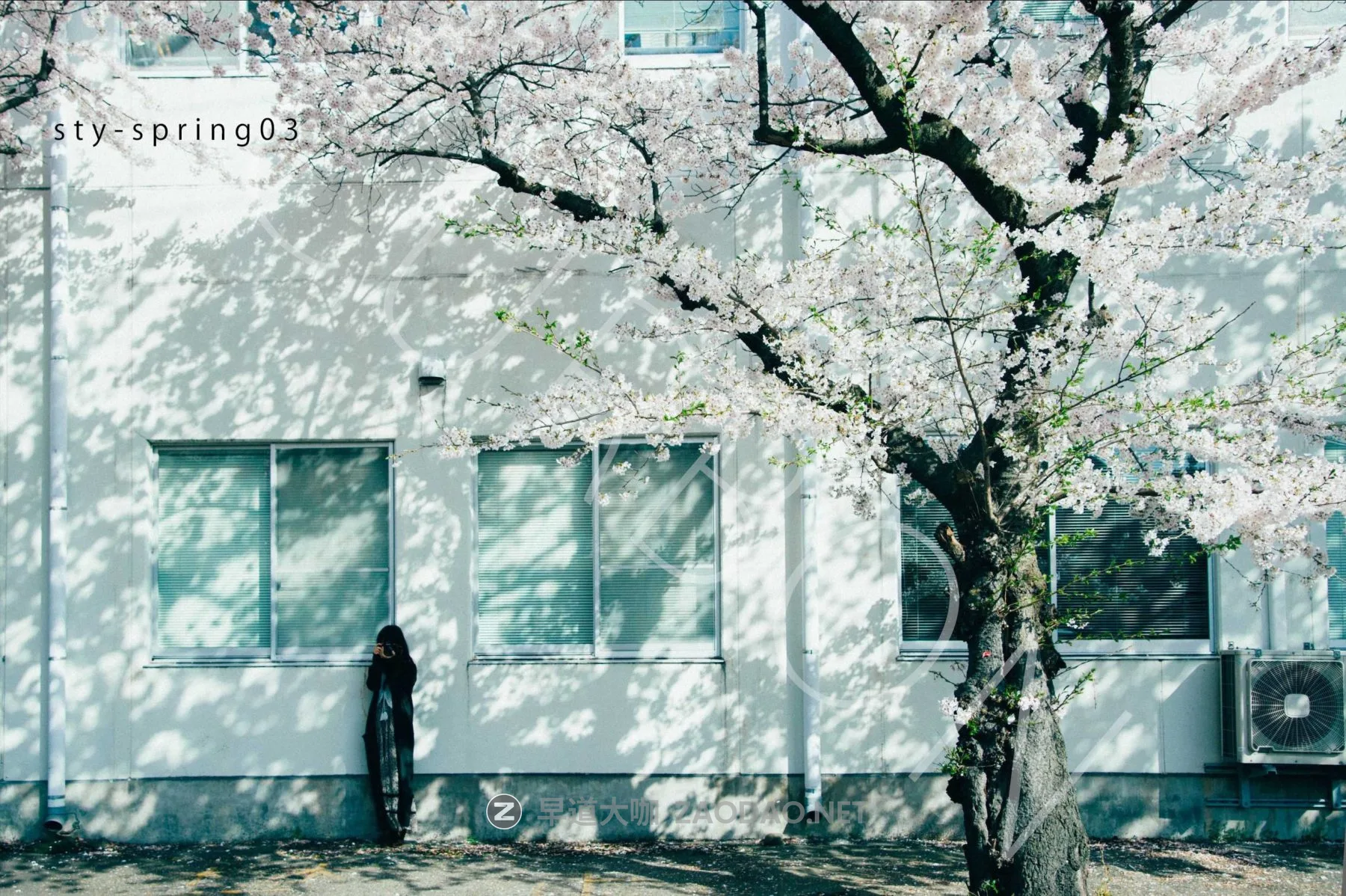 20260123wf766 20260123wf766