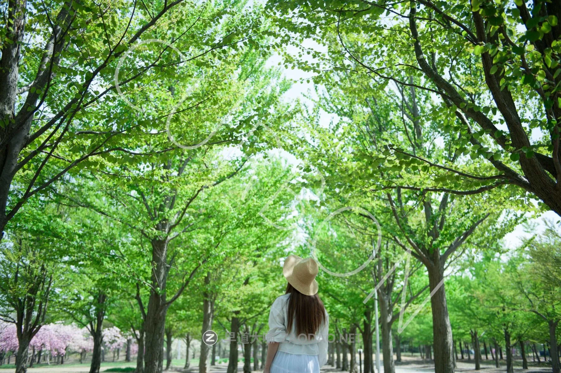 20260123y73px 20260123y73px