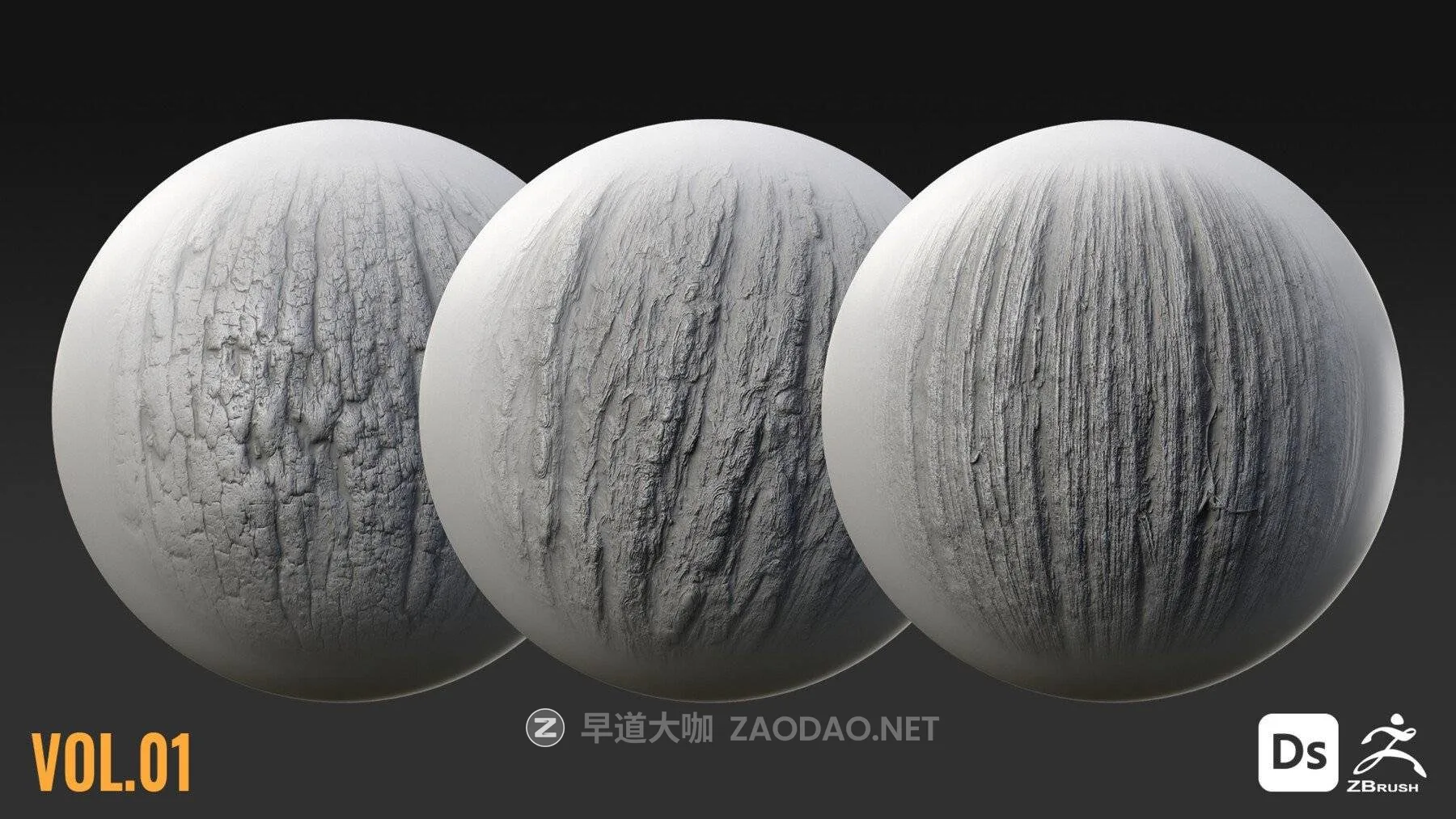 20260124wt2jv 20260124wt2jv