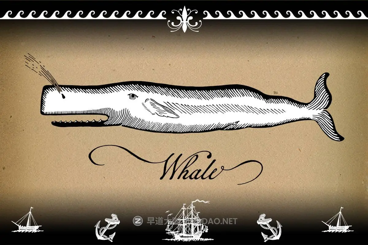 202601280dcuw 202601280dcuw