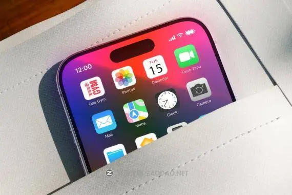 2026012855ffy 2026012855ffy