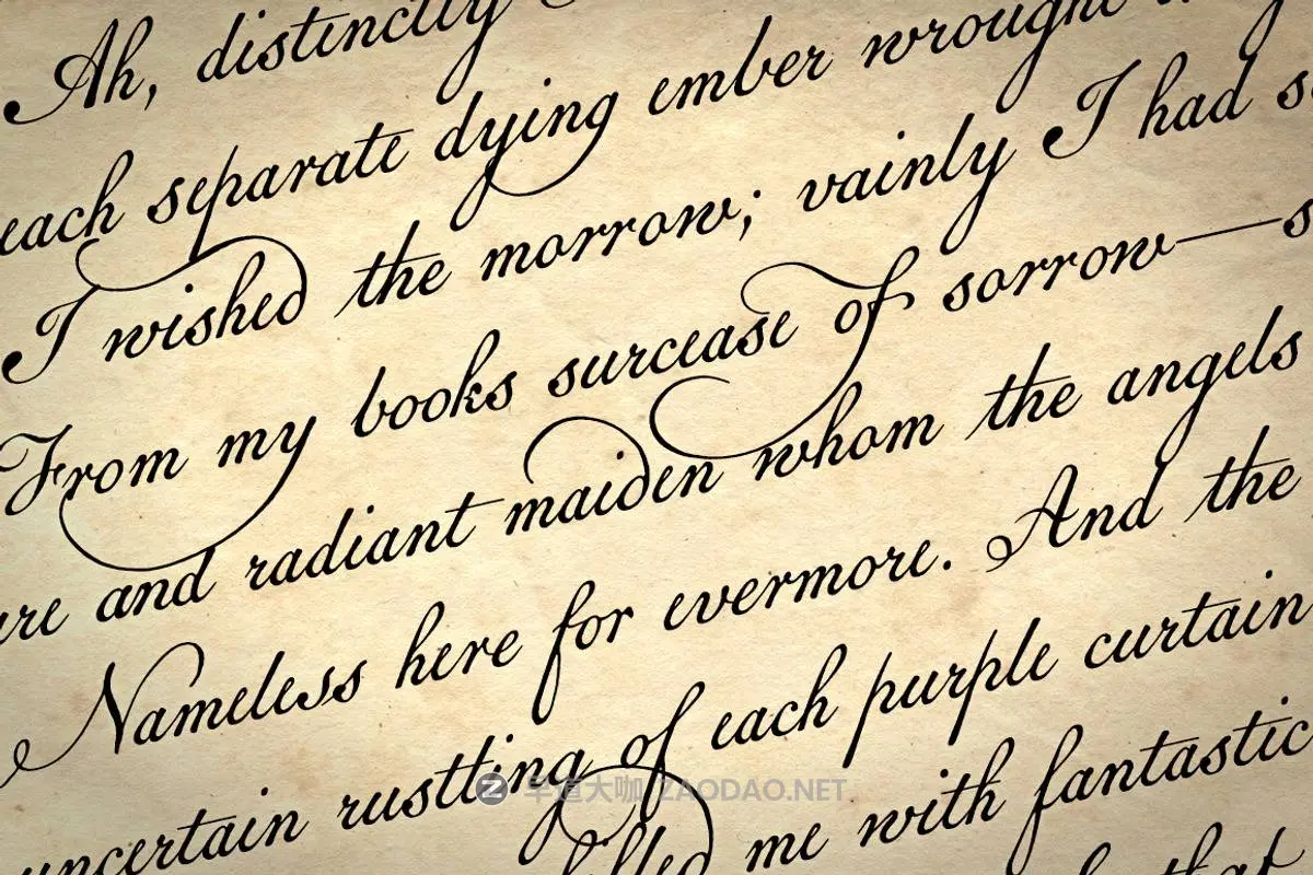 2026012860dzm 2026012860dzm