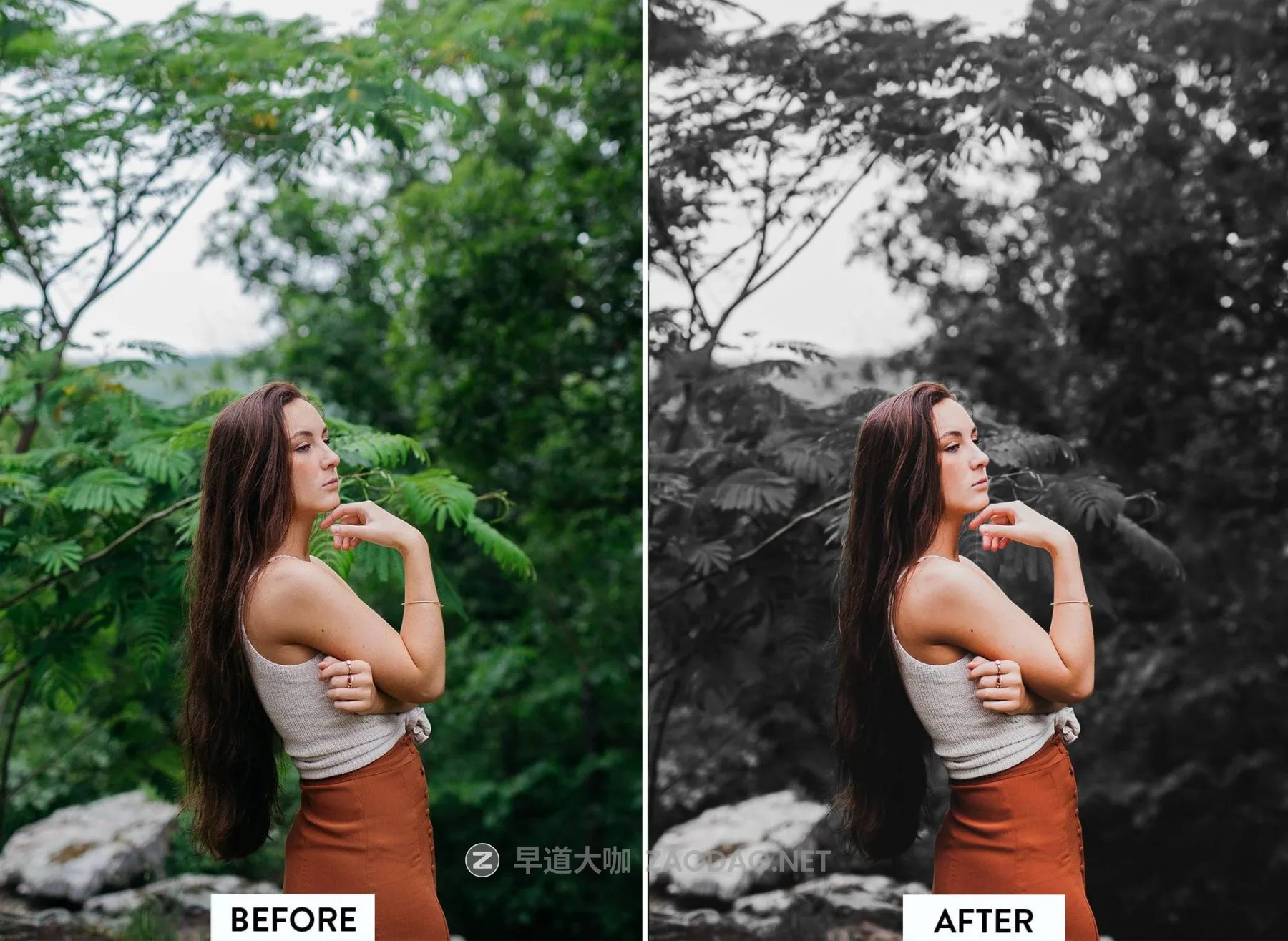 20260129b3sr2 20260129b3sr2