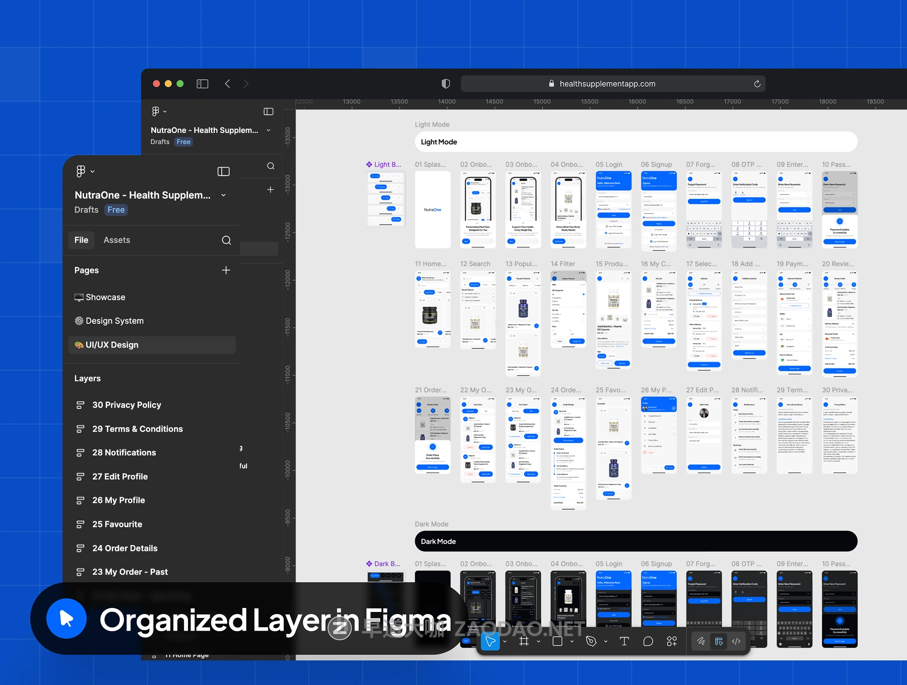 20260129o532p 20260129o532p