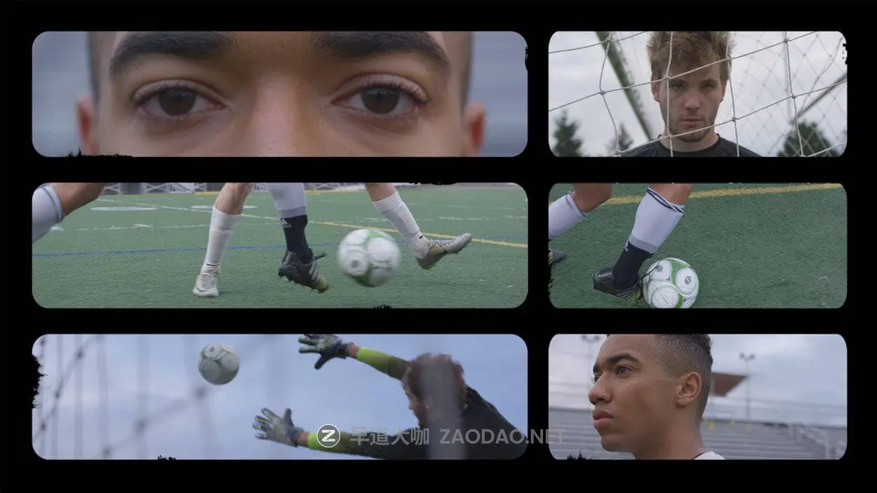 20260130bce0q 20260130bce0q