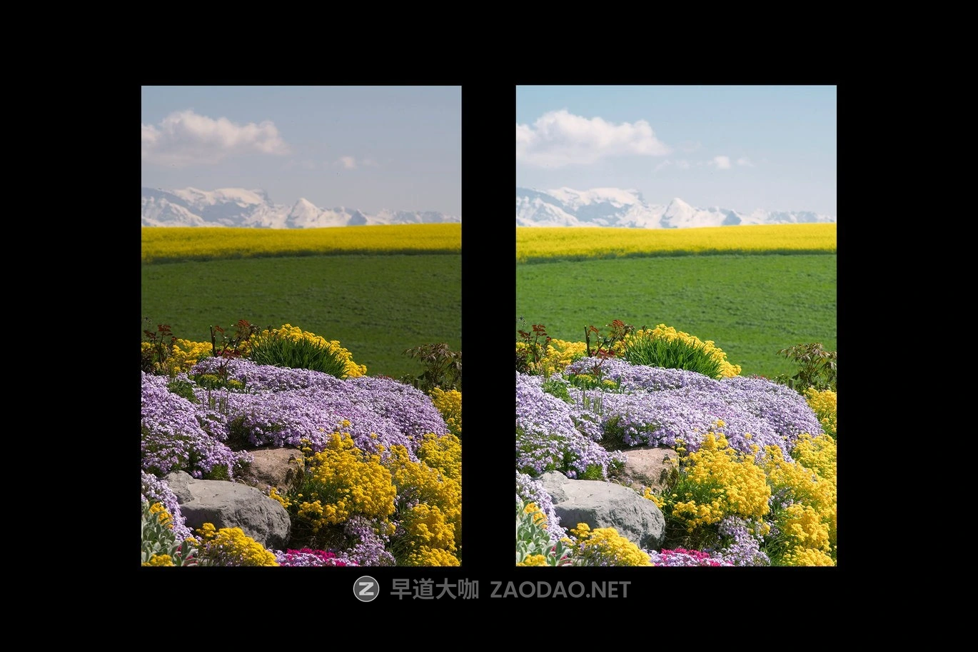 5组春季户外旅行肖像摄影照片调色Lightroom预设 Spring Sunny Day Lightroom Preset插图4 5组春季户外旅行肖像摄影照片调色Lightroom预设 Spring Sunny Day Lightroom Preset插图4