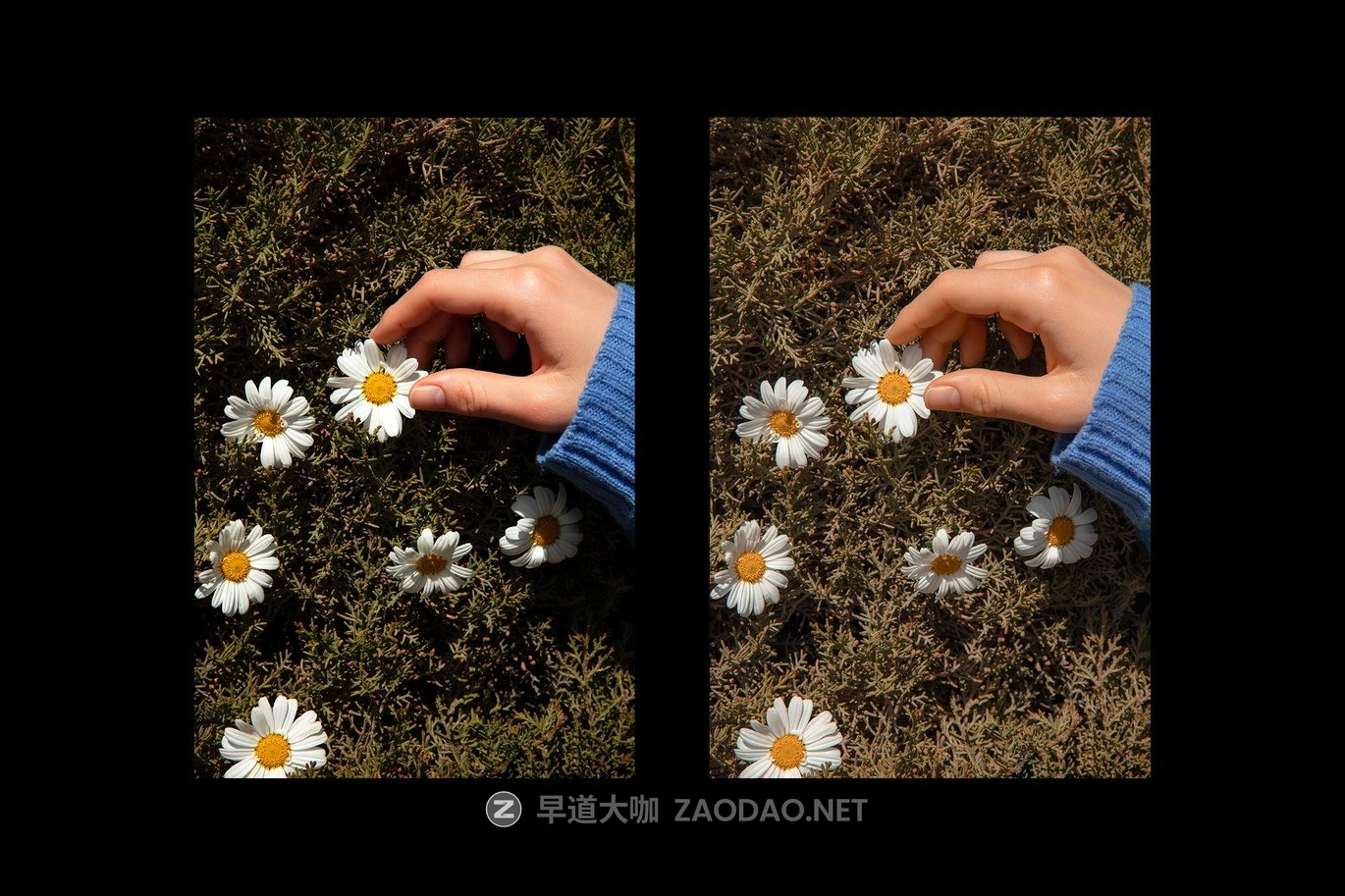 5组春季户外旅行肖像摄影照片调色Lightroom预设 Spring Sunny Day Lightroom Preset插图6 5组春季户外旅行肖像摄影照片调色Lightroom预设 Spring Sunny Day Lightroom Preset插图6