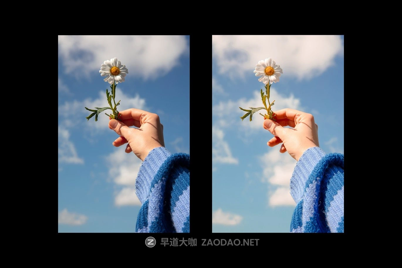 5组春季户外旅行肖像摄影照片调色Lightroom预设 Spring Sunny Day Lightroom Preset插图7 5组春季户外旅行肖像摄影照片调色Lightroom预设 Spring Sunny Day Lightroom Preset插图7