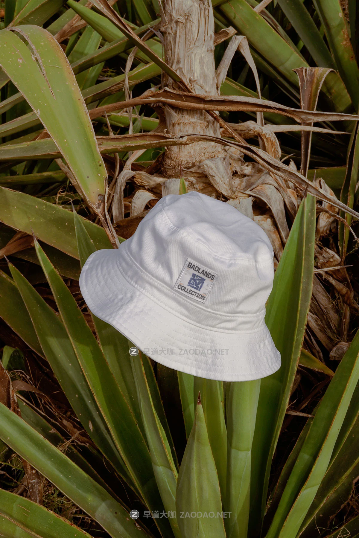 7款沙漠场景名片画册海报单页渔夫帽T恤vi设计贴图psd样机模板 Bendito Mockup – BADLANDS Collection P2插图7 7款沙漠场景名片画册海报单页渔夫帽T恤vi设计贴图psd样机模板 Bendito Mockup – BADLANDS Collection P2插图7