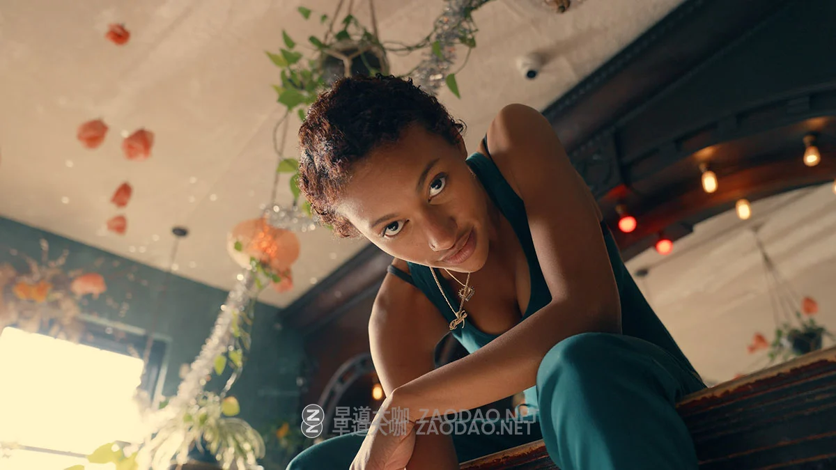 GAMUT 经典柯达2383胶片模拟怀旧电影感旅拍人像vlog视频调色lut预设包 GAMUT – X88 LUT Collection插图22 GAMUT 经典柯达2383胶片模拟怀旧电影感旅拍人像vlog视频调色lut预设包 GAMUT – X88 LUT Collection插图22