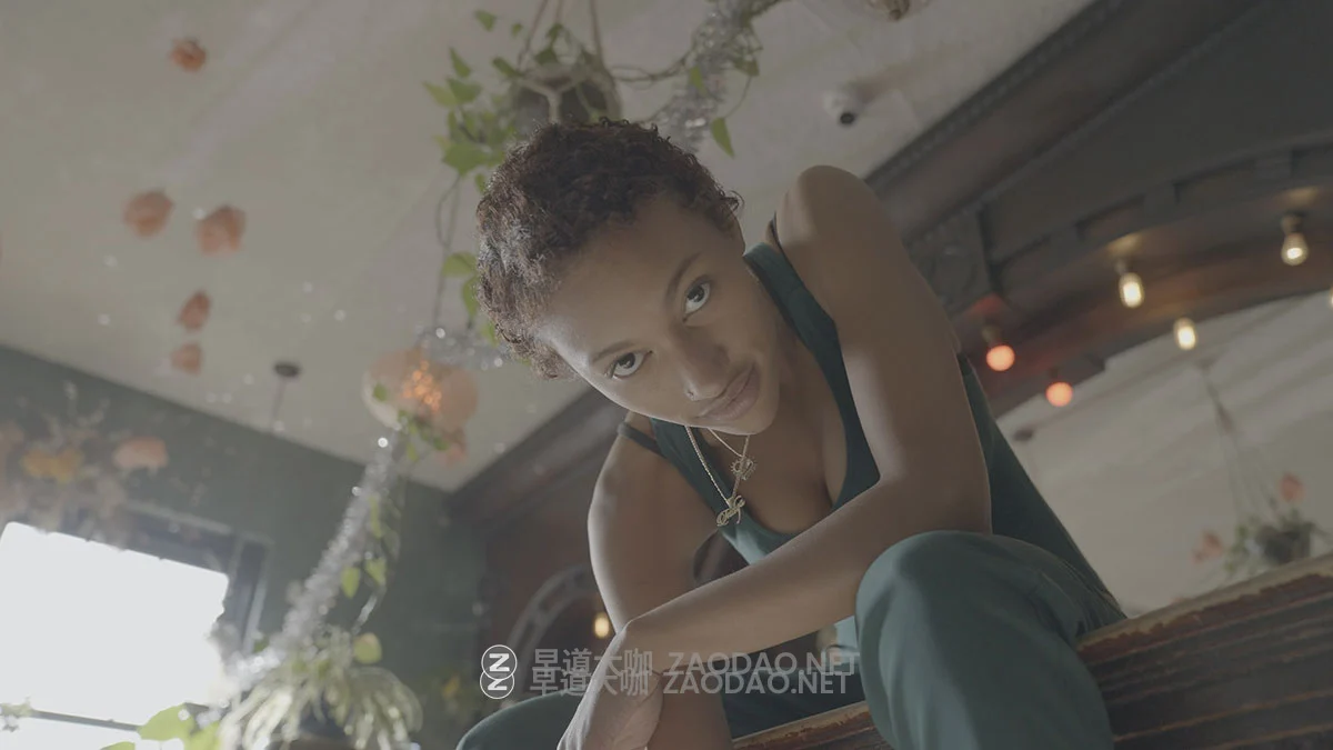 GAMUT 经典柯达2383胶片模拟怀旧电影感旅拍人像vlog视频调色lut预设包 GAMUT – X88 LUT Collection插图21 GAMUT 经典柯达2383胶片模拟怀旧电影感旅拍人像vlog视频调色lut预设包 GAMUT – X88 LUT Collection插图21