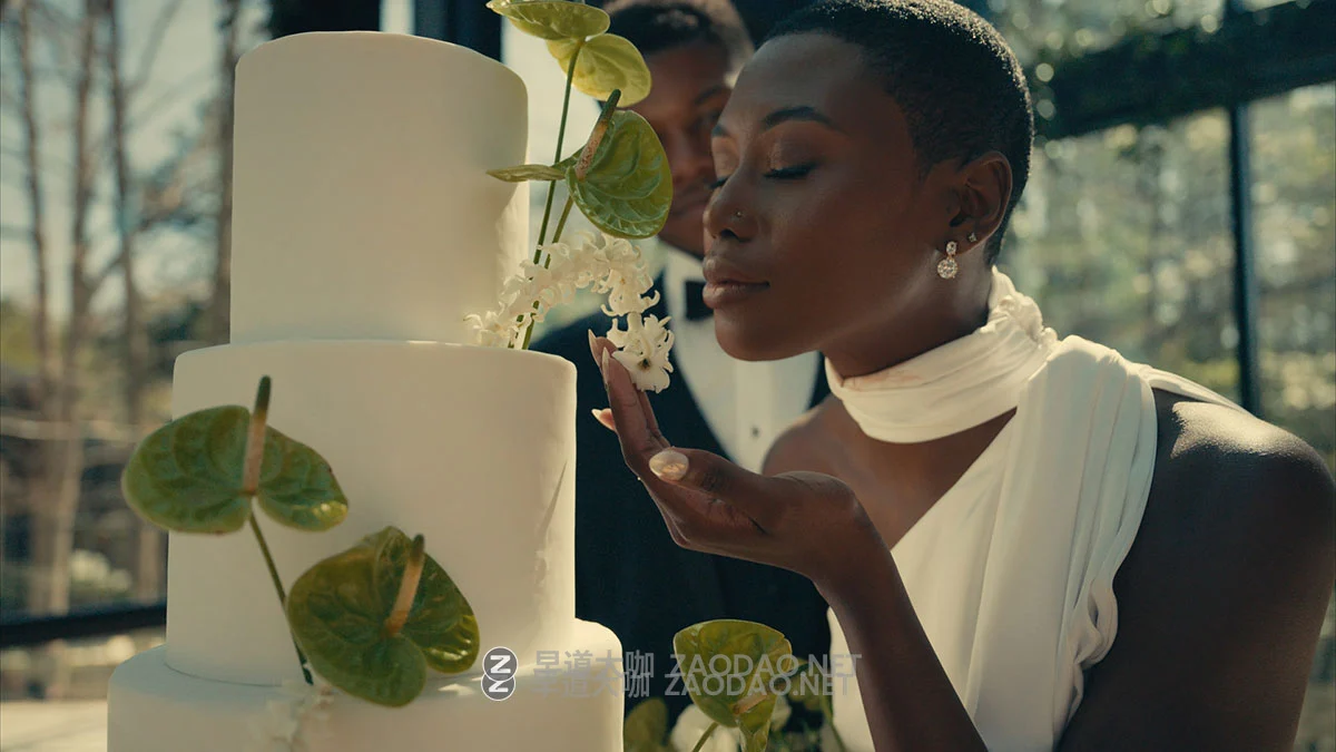 GAMUT 经典柯达2383胶片模拟怀旧电影感旅拍人像vlog视频调色lut预设包 GAMUT – X88 LUT Collection插图24 GAMUT 经典柯达2383胶片模拟怀旧电影感旅拍人像vlog视频调色lut预设包 GAMUT – X88 LUT Collection插图24