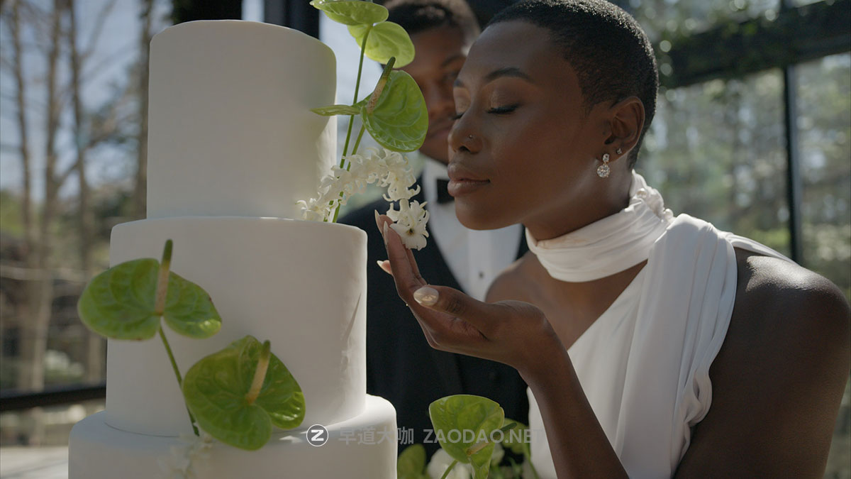 GAMUT 经典柯达2383胶片模拟怀旧电影感旅拍人像vlog视频调色lut预设包 GAMUT – X88 LUT Collection插图23 GAMUT 经典柯达2383胶片模拟怀旧电影感旅拍人像vlog视频调色lut预设包 GAMUT – X88 LUT Collection插图23